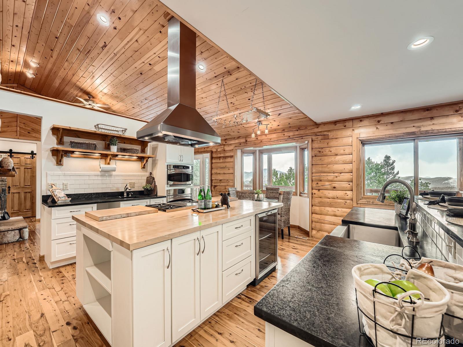 MLS Image #6 for 1527 s pine drive,bailey, Colorado