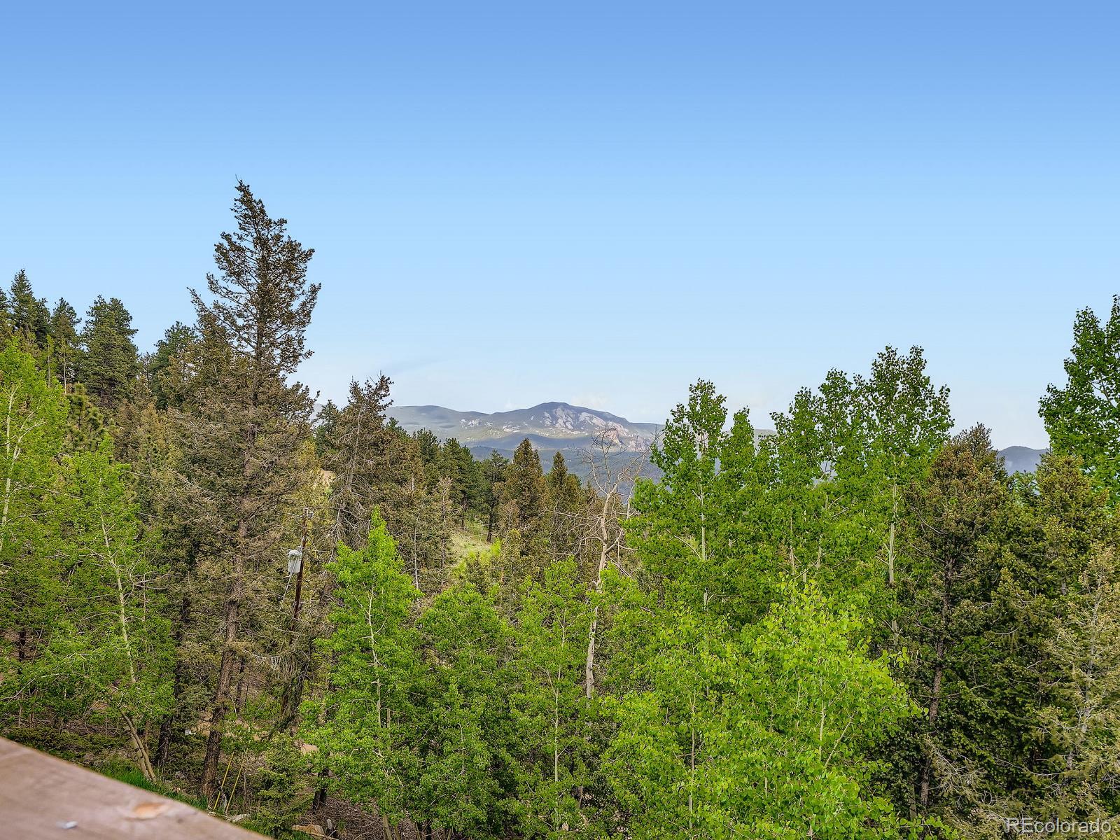 MLS Image #9 for 1527 s pine drive,bailey, Colorado