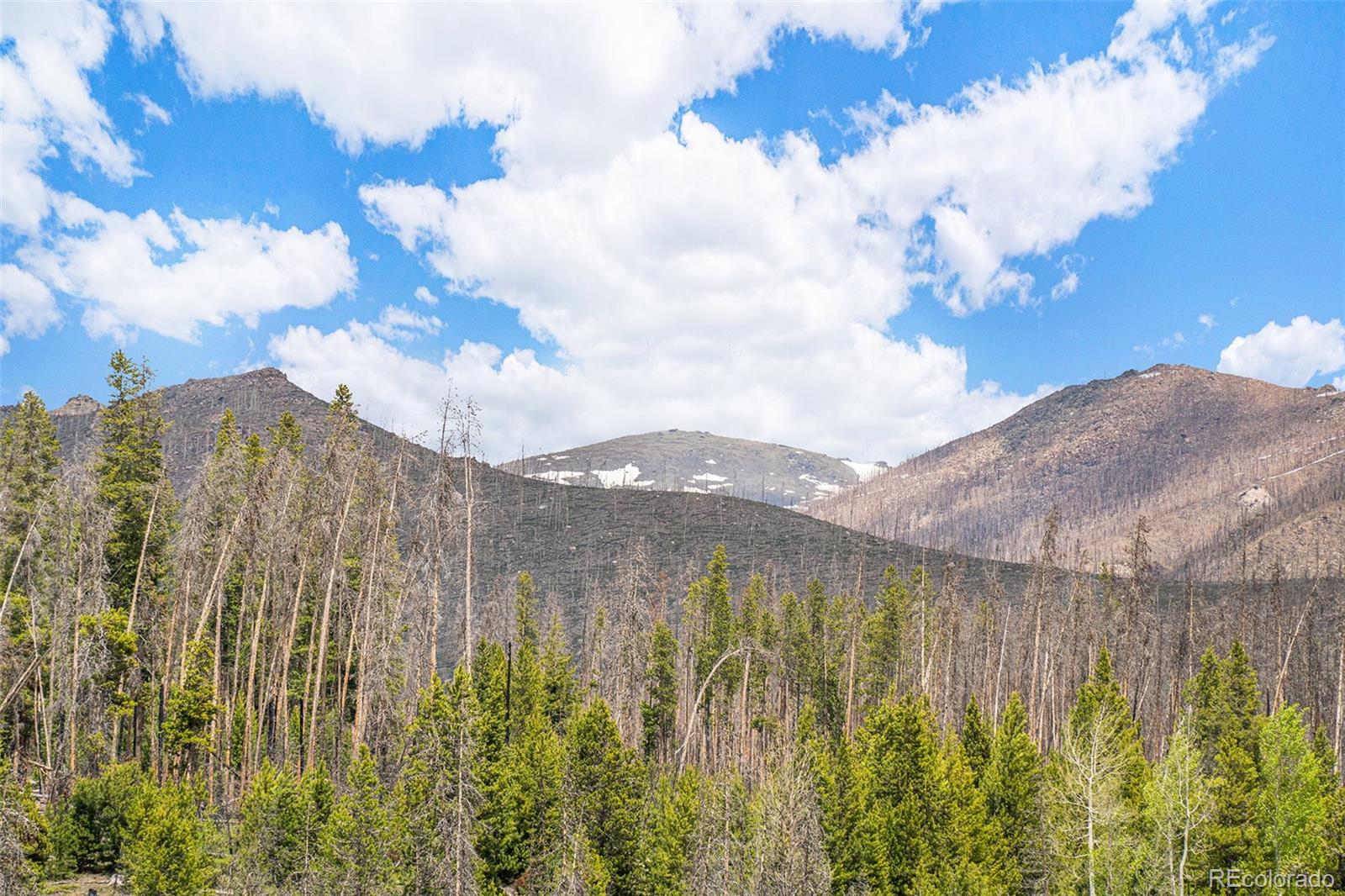 MLS Image #5 for 608  gcr 412 ,granby, Colorado