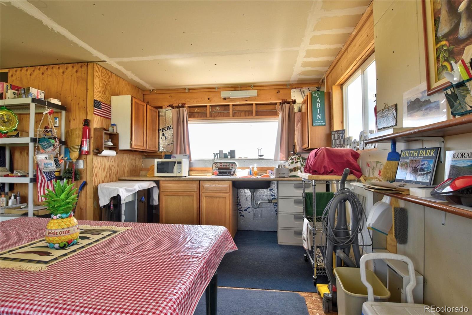 MLS Image #3 for 1091  kokanee road,fairplay, Colorado