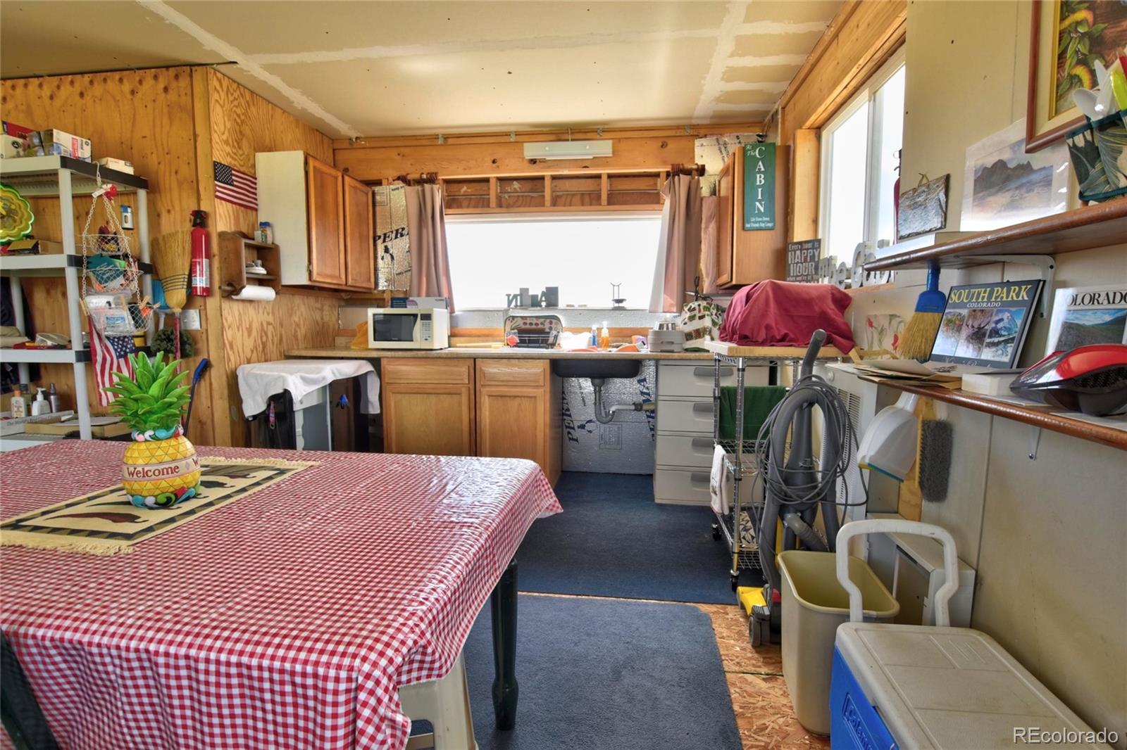 MLS Image #4 for 1091  kokanee road,fairplay, Colorado