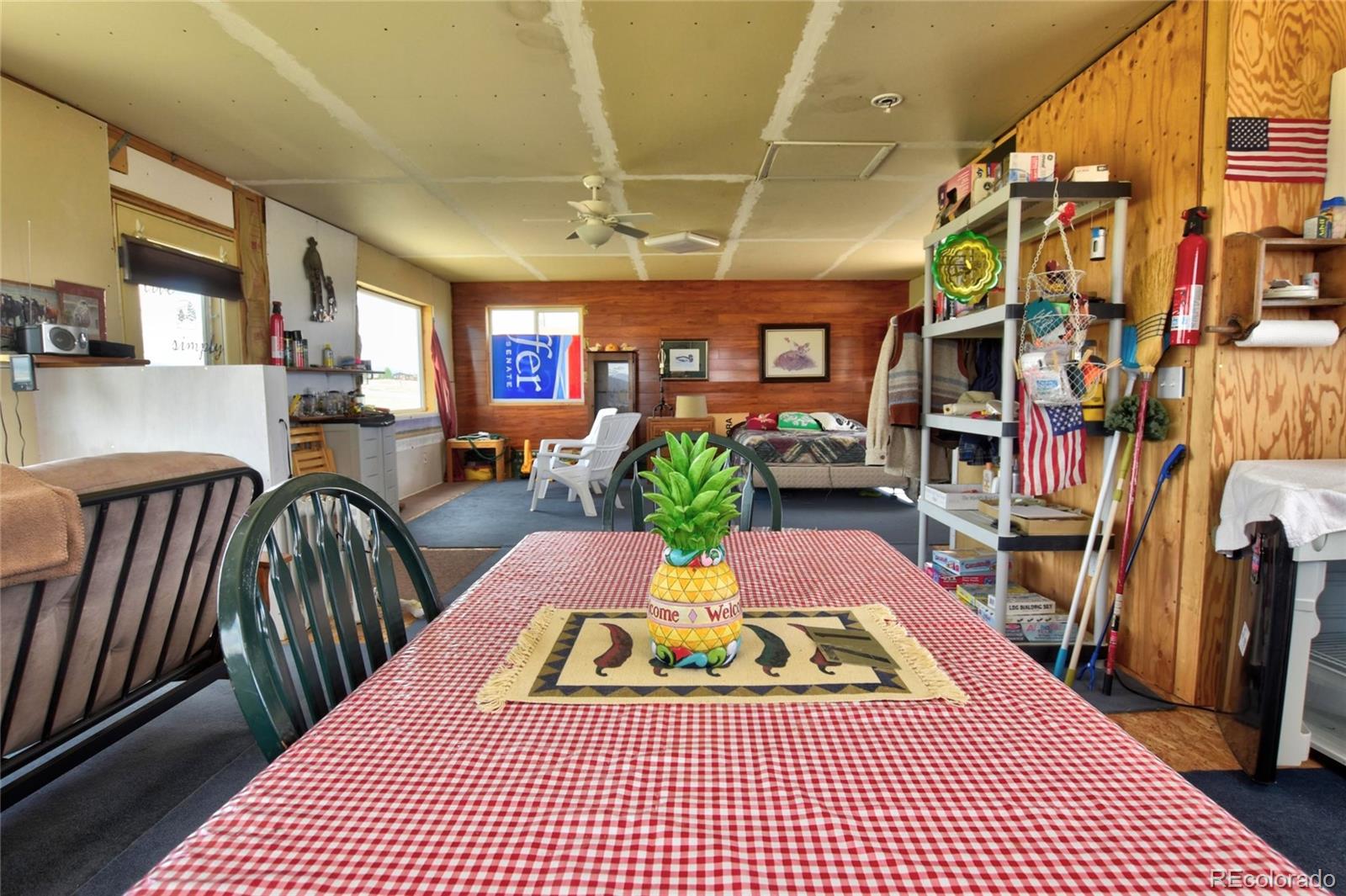 MLS Image #5 for 1091  kokanee road,fairplay, Colorado