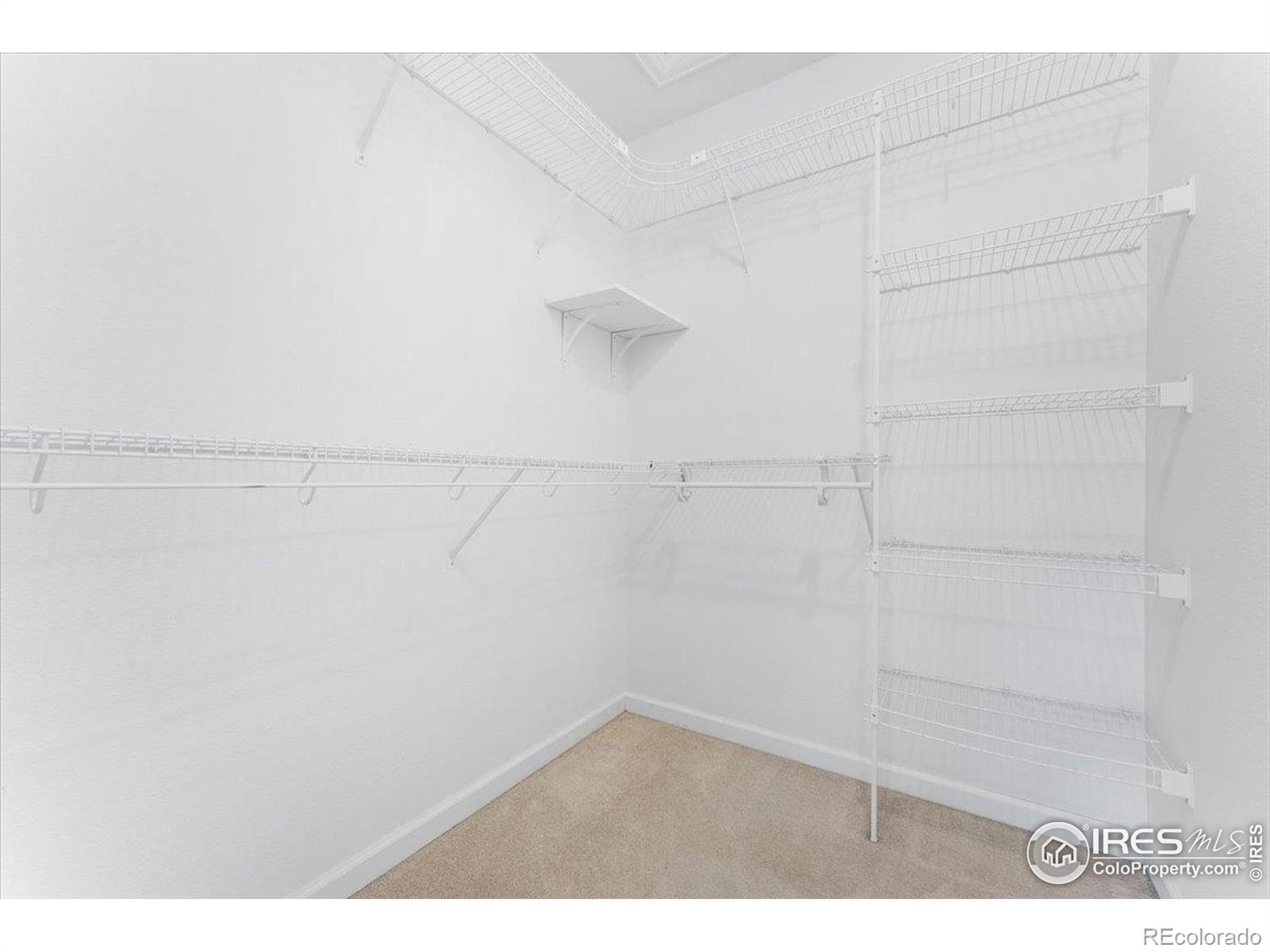 MLS Image #11 for 3525  auntie stone street,fort collins, Colorado