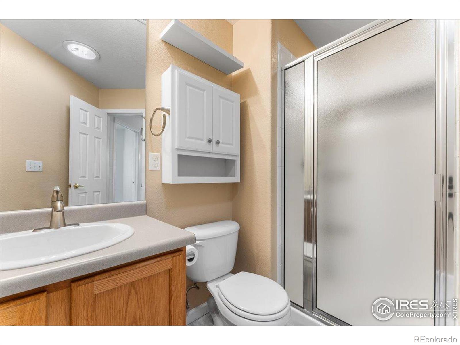 MLS Image #16 for 3525  auntie stone street,fort collins, Colorado