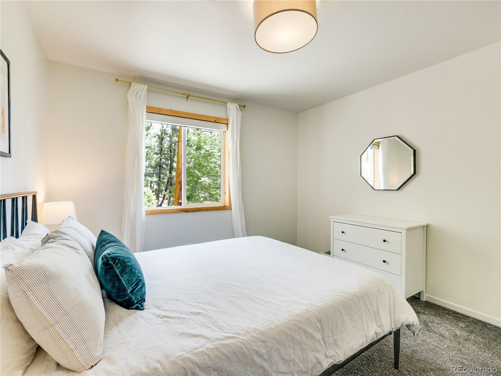 MLS Image #20 for 2946  middle fork vista,fairplay, Colorado