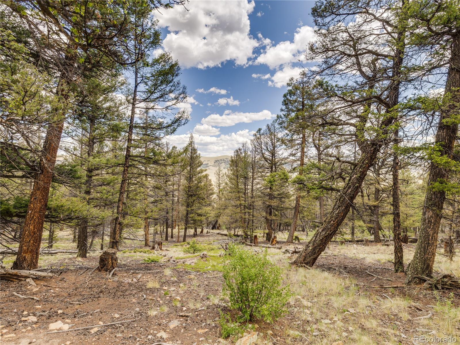MLS Image #37 for 2946  middle fork vista,fairplay, Colorado