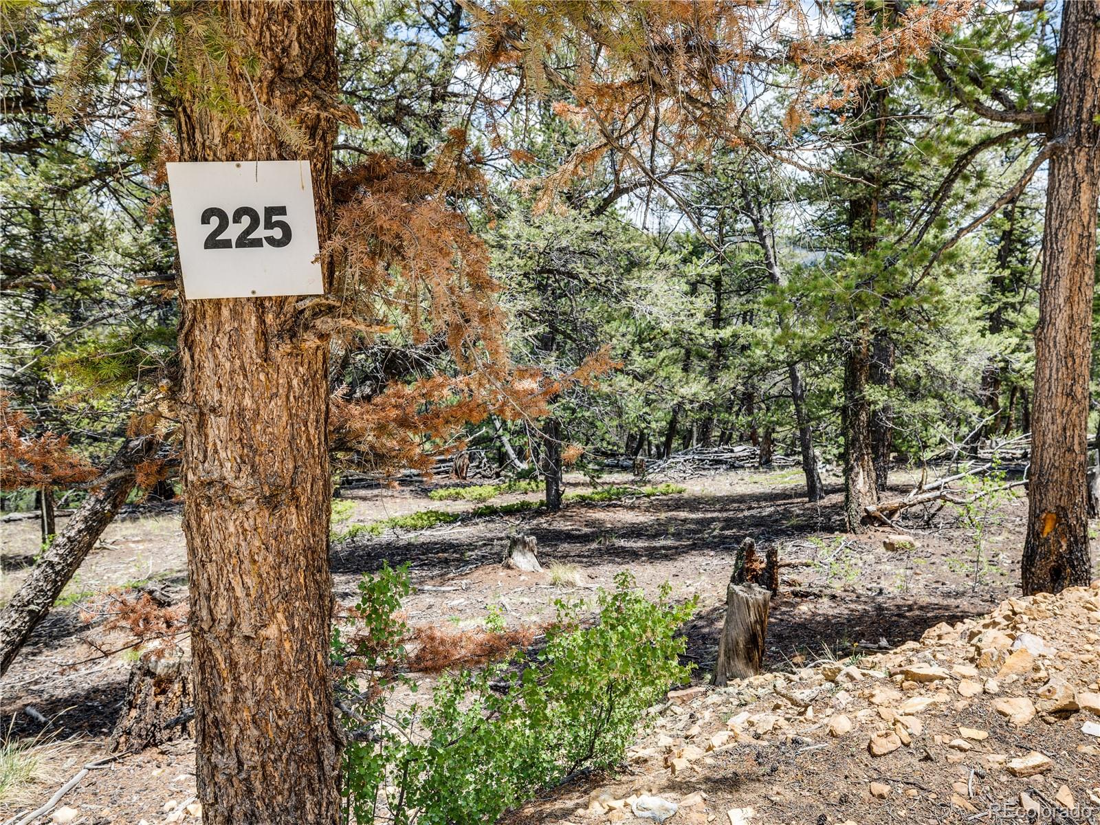 MLS Image #39 for 2946  middle fork vista,fairplay, Colorado