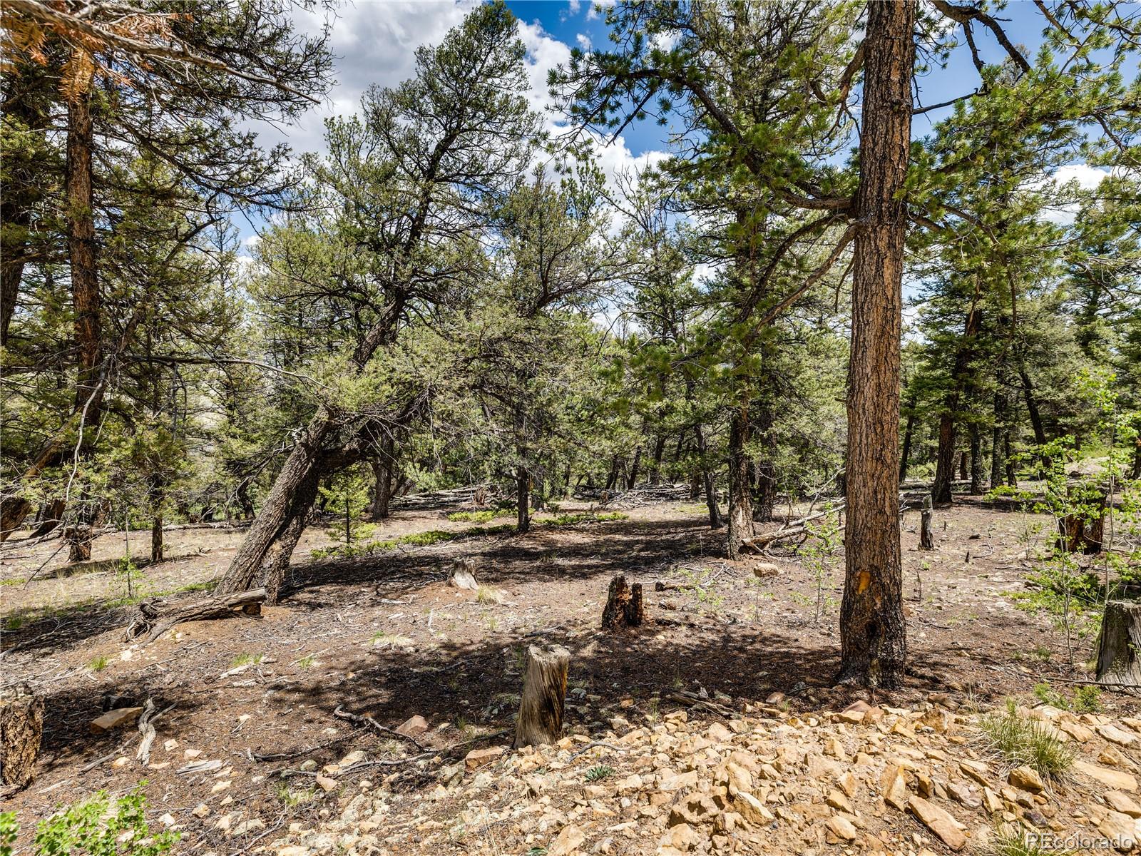 MLS Image #40 for 2946  middle fork vista,fairplay, Colorado
