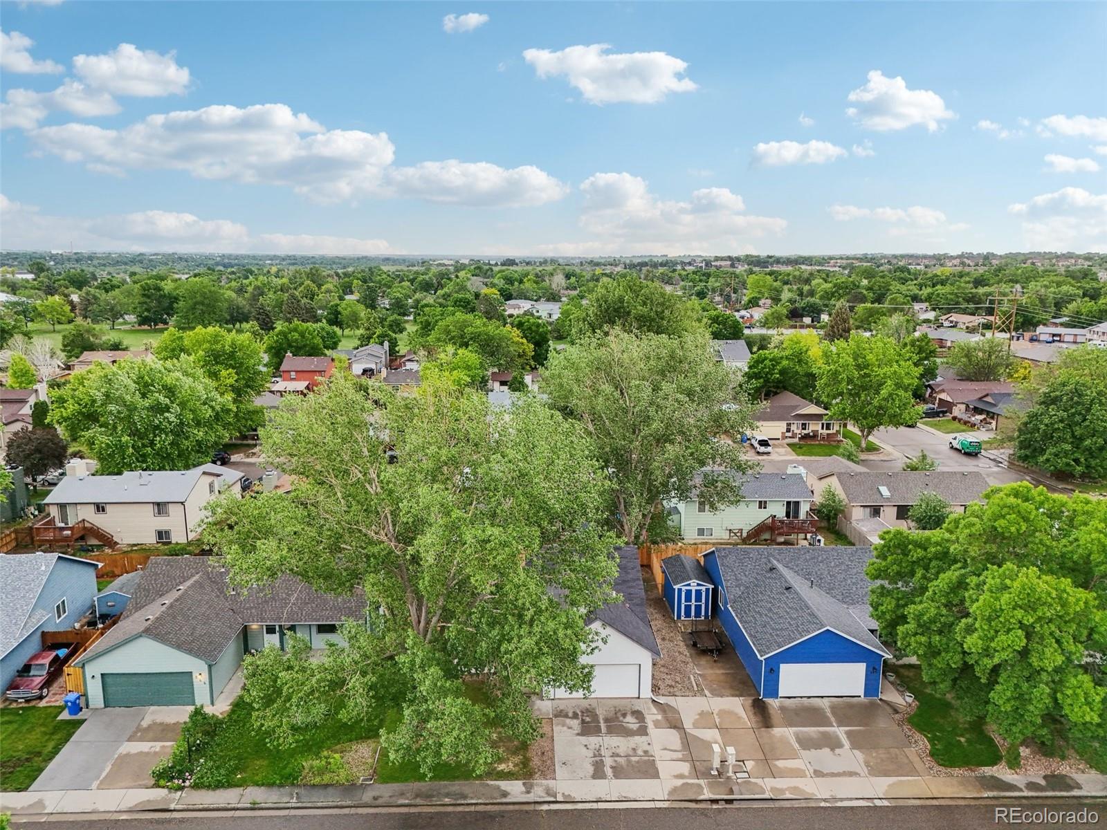 MLS Image #45 for 874 s buckeye drive,loveland, Colorado