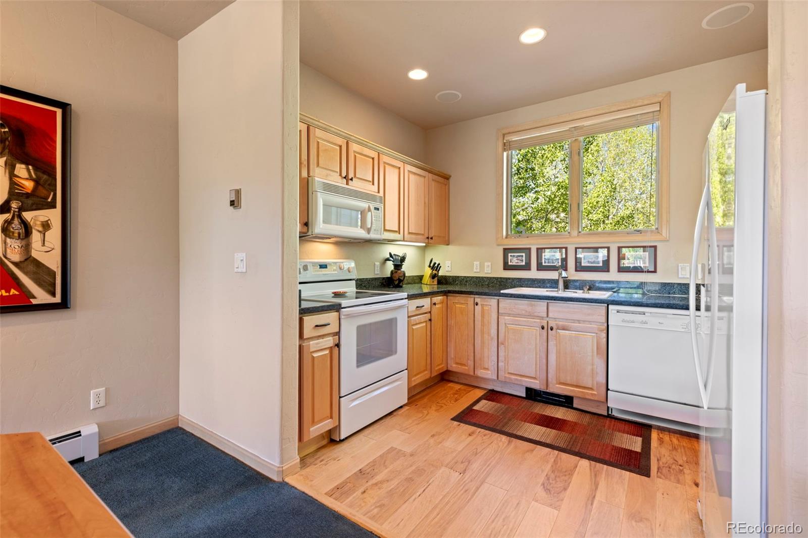 MLS Image #10 for 1508  berino court,frisco, Colorado
