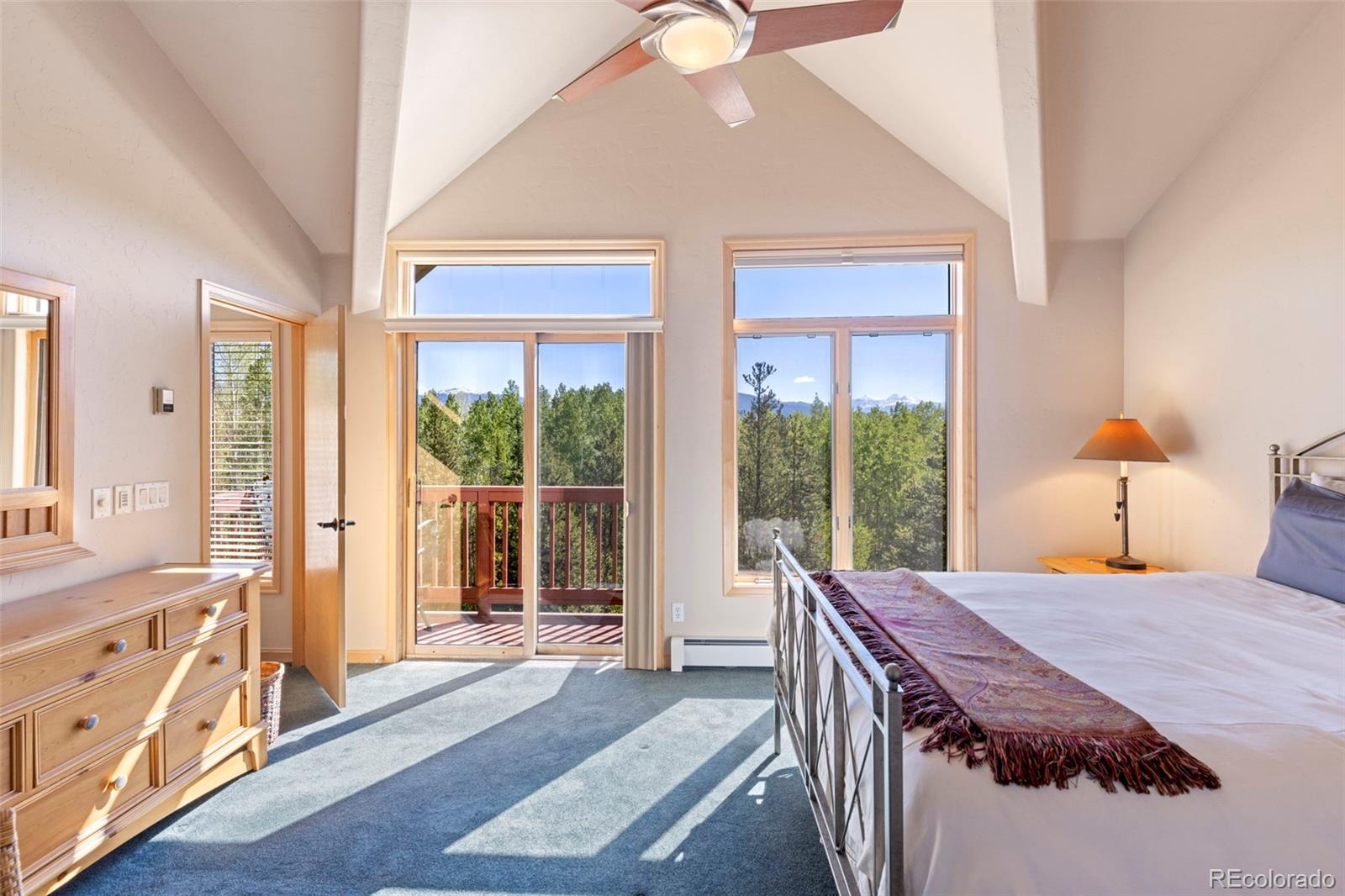 MLS Image #14 for 1508  berino court,frisco, Colorado