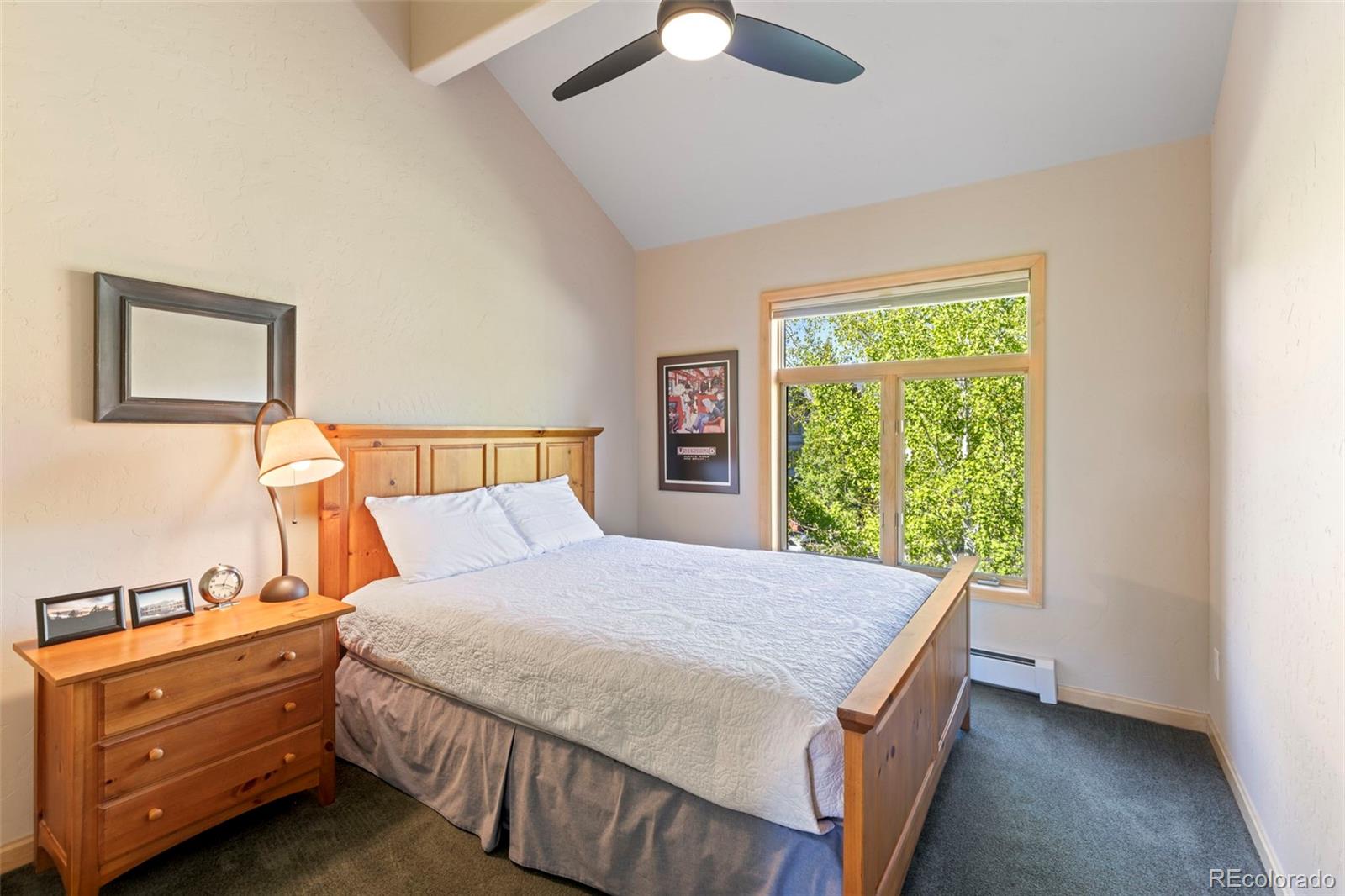 MLS Image #18 for 1508  berino court,frisco, Colorado