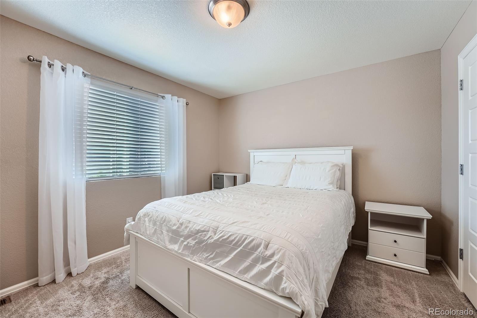 MLS Image #23 for 11709  park south lane,parker, Colorado