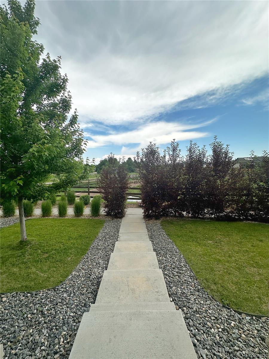 MLS Image #5 for 11709  park south lane,parker, Colorado