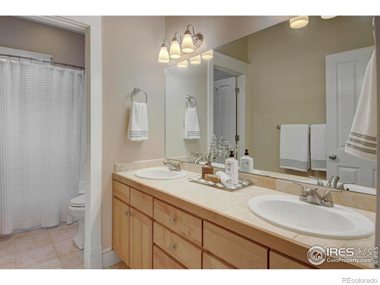 MLS Image #23 for 832  neon forest circle,longmont, Colorado