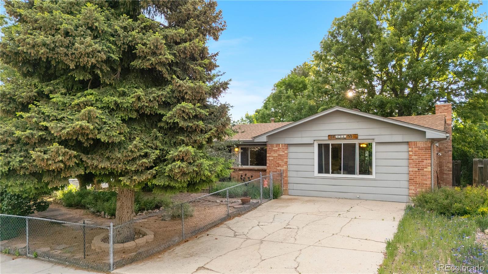 MLS Image #47 for 3700  indianpipe circle,colorado springs, Colorado