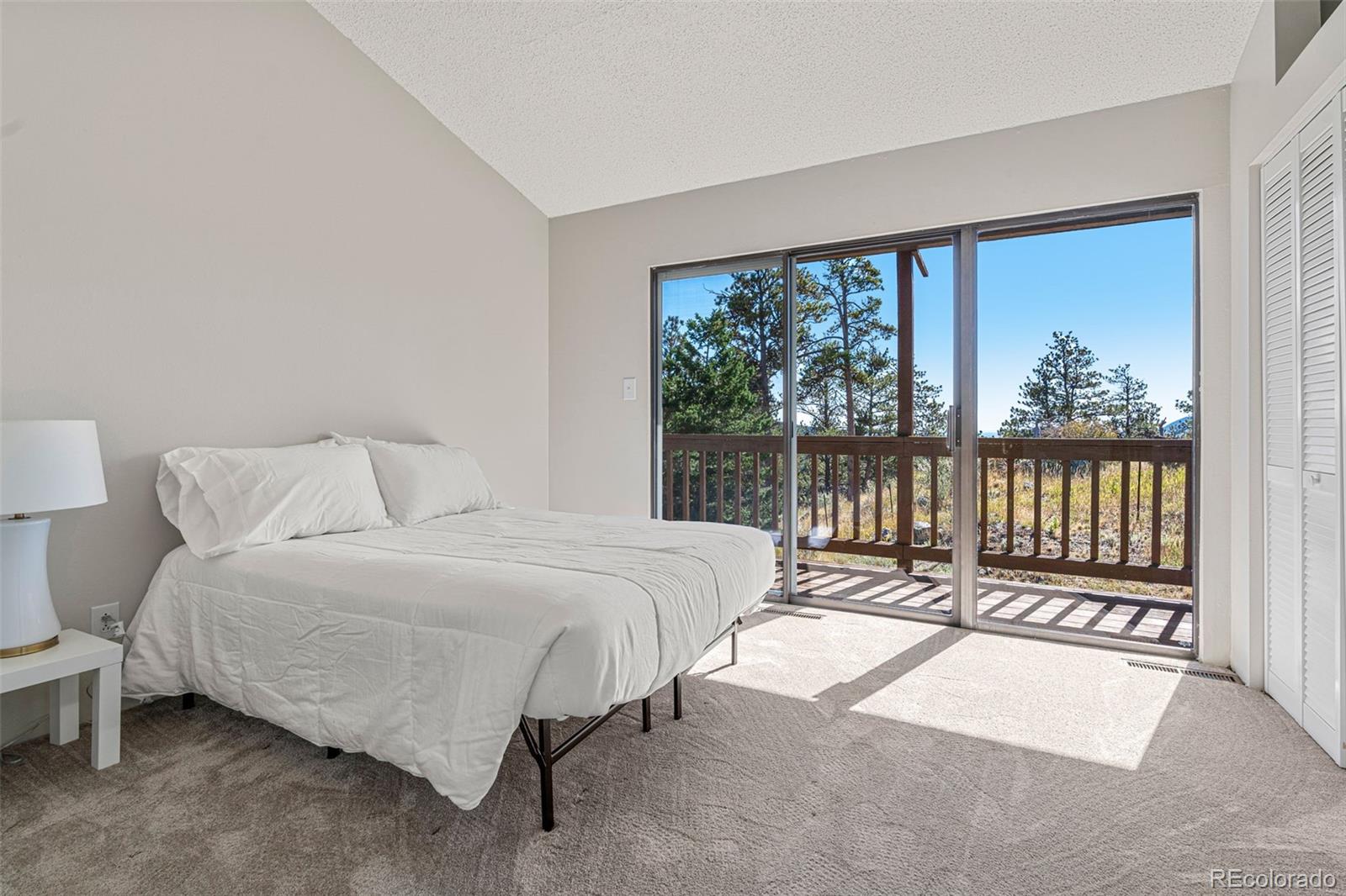 MLS Image #25 for 319  camino bosque ,boulder, Colorado