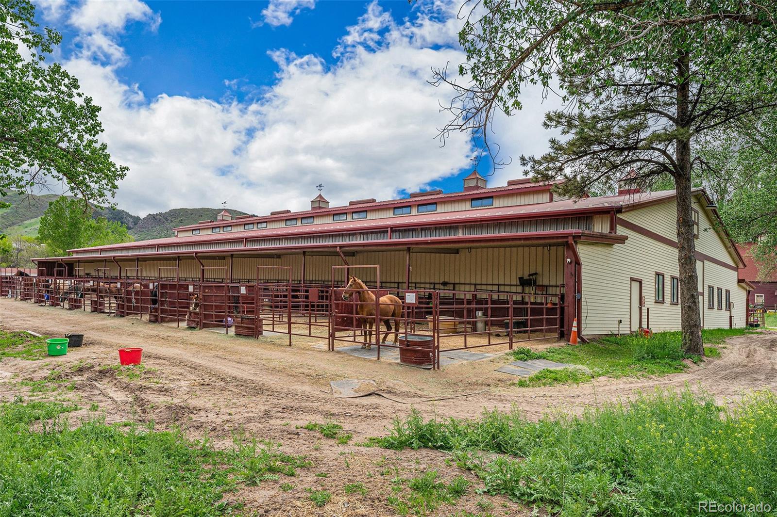 MLS Image #49 for 7522 s mount zirkel ,littleton, Colorado