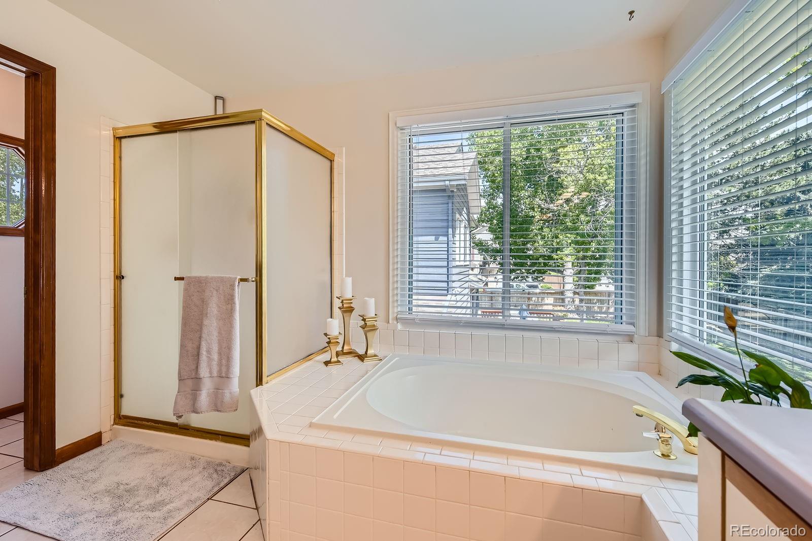 MLS Image #20 for 7166  newhall drive,highlands ranch, Colorado