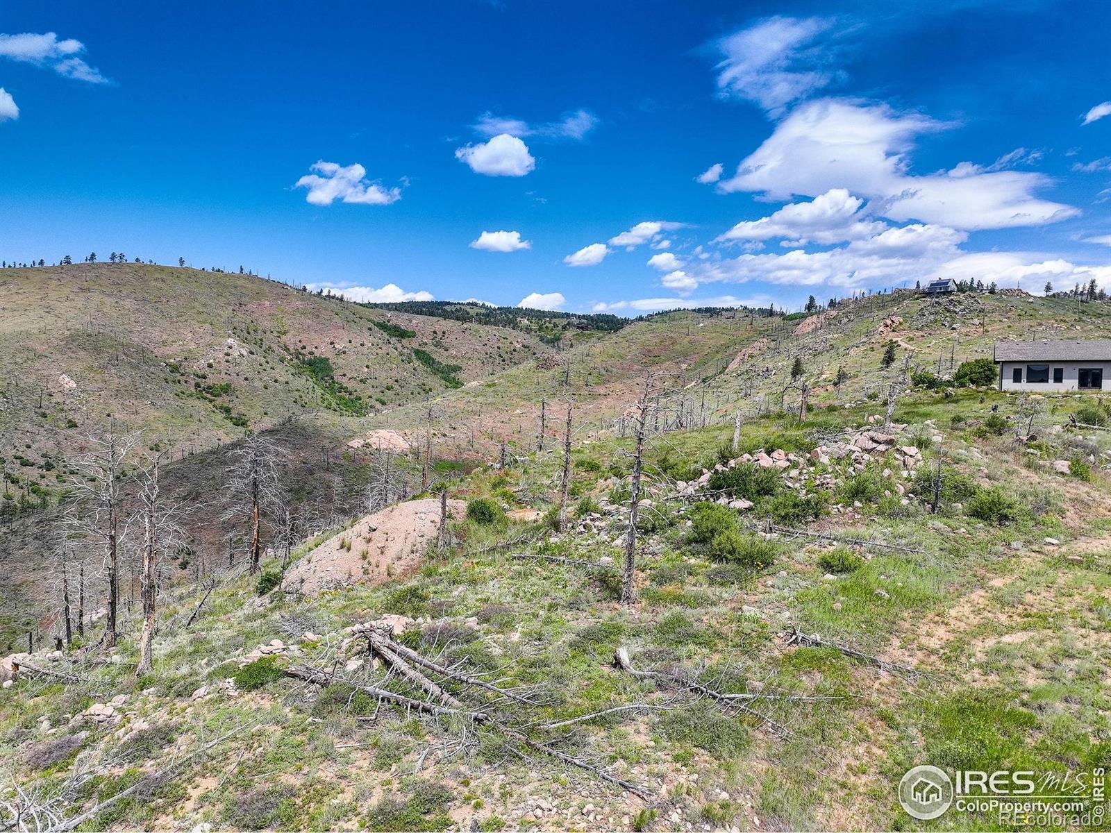 MLS Image #18 for 300  shining star trail,boulder, Colorado