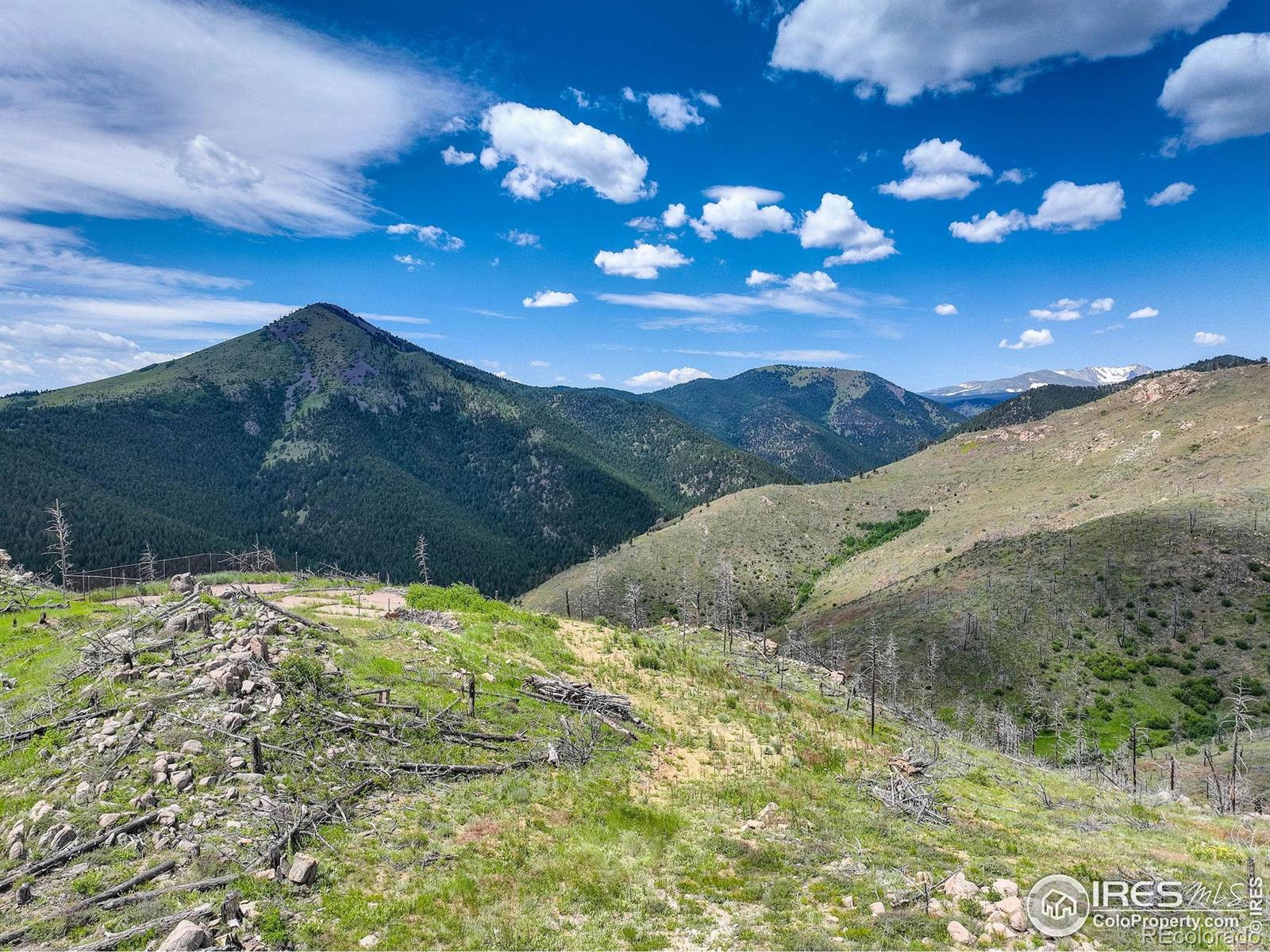 MLS Image #20 for 300  shining star trail,boulder, Colorado
