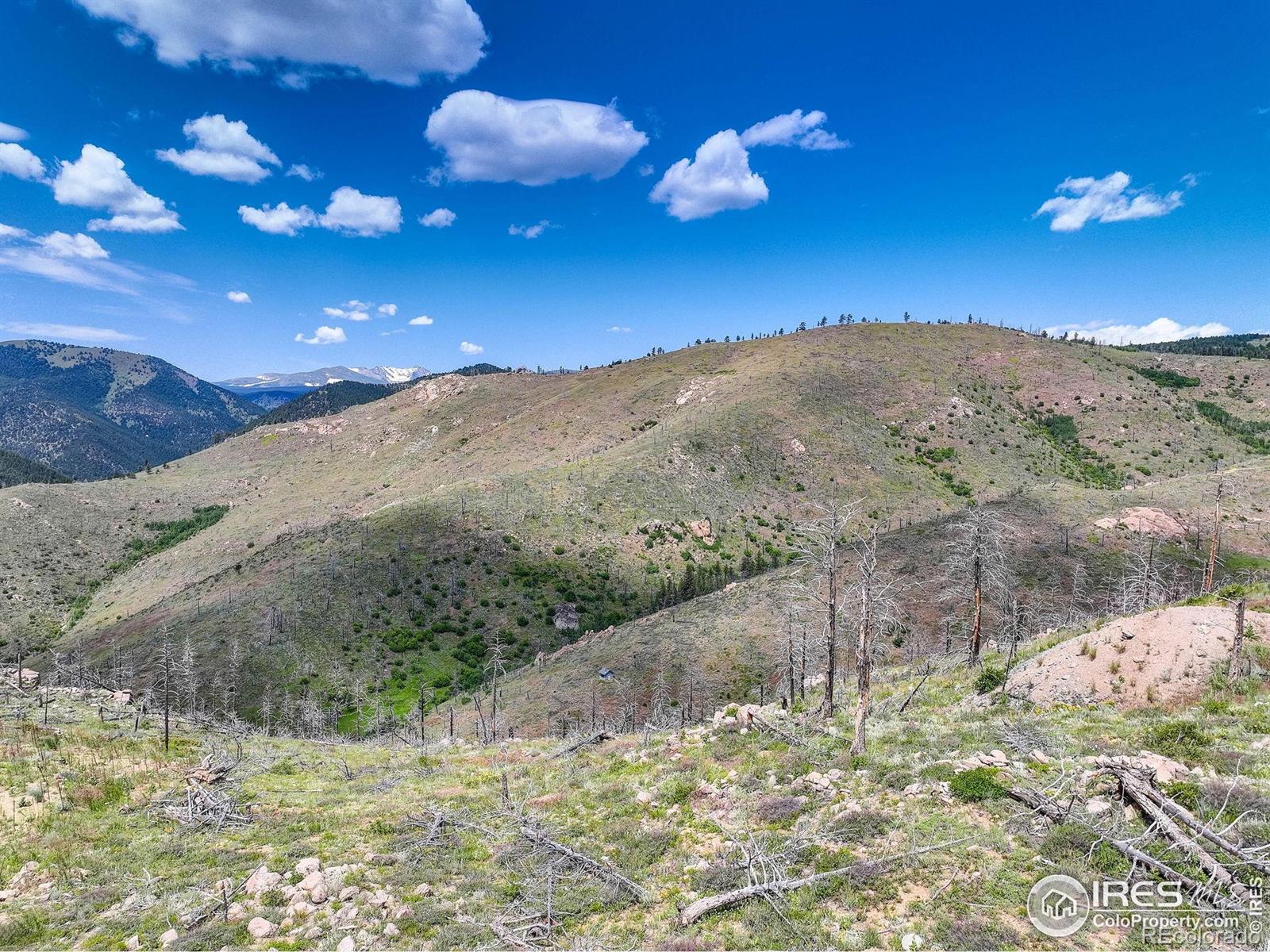 MLS Image #21 for 300  shining star trail,boulder, Colorado