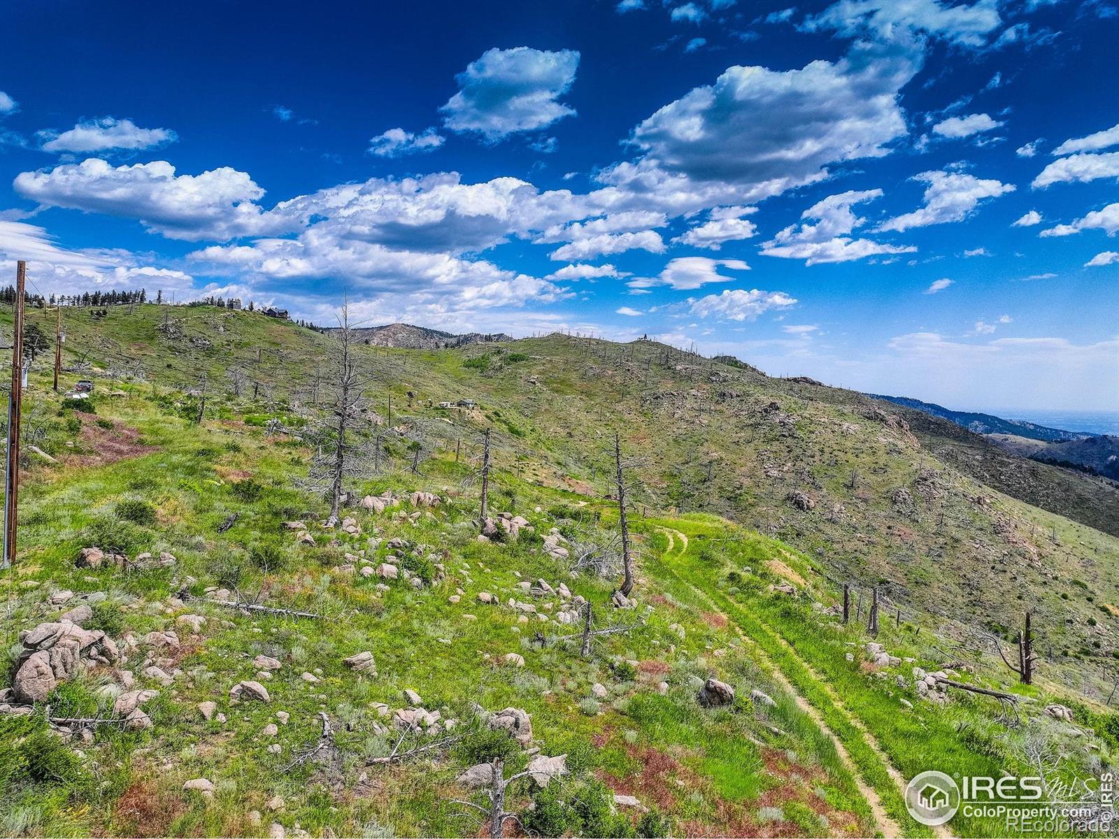 MLS Image #23 for 300  shining star trail,boulder, Colorado