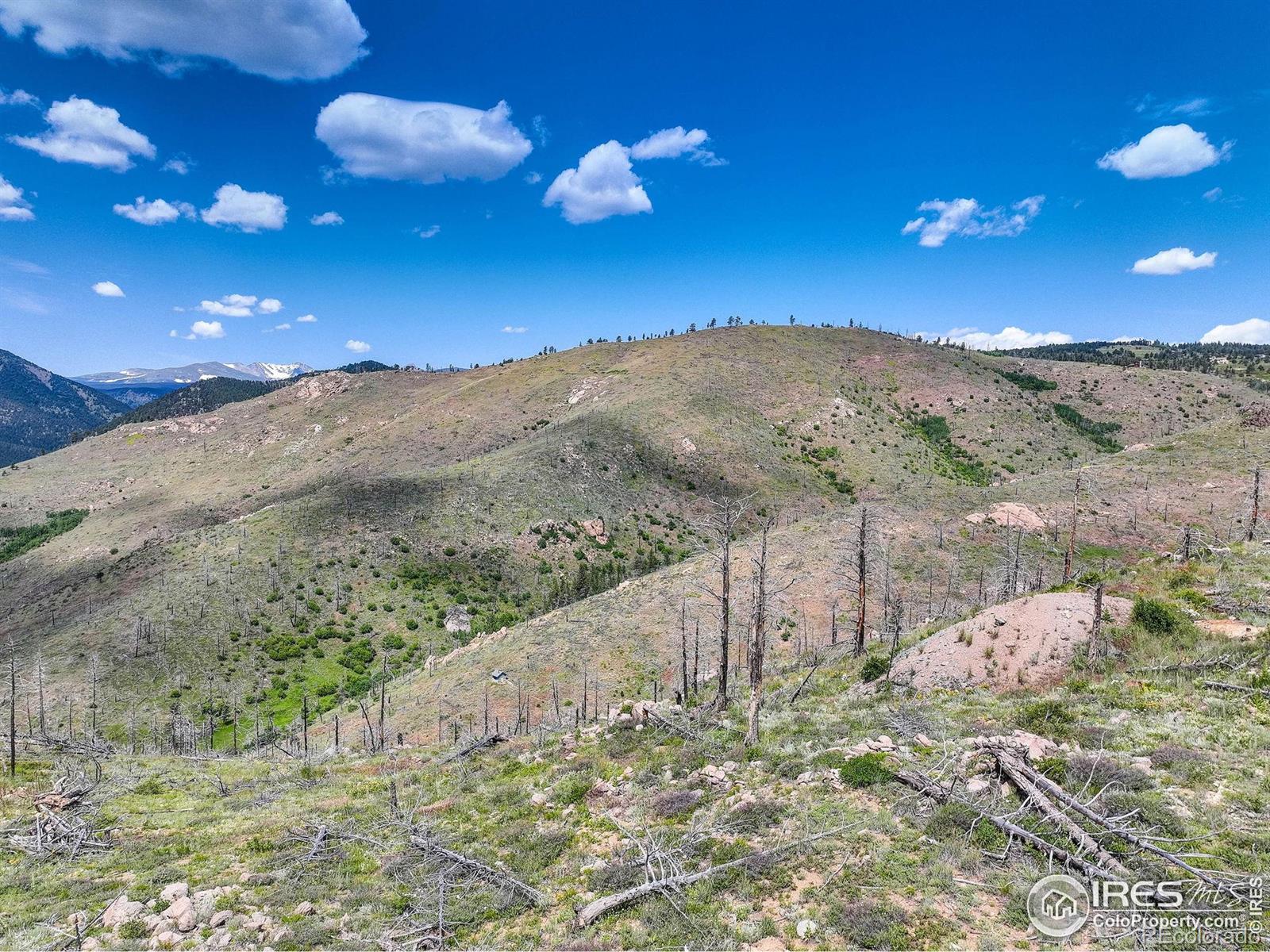 MLS Image #24 for 300  shining star trail,boulder, Colorado