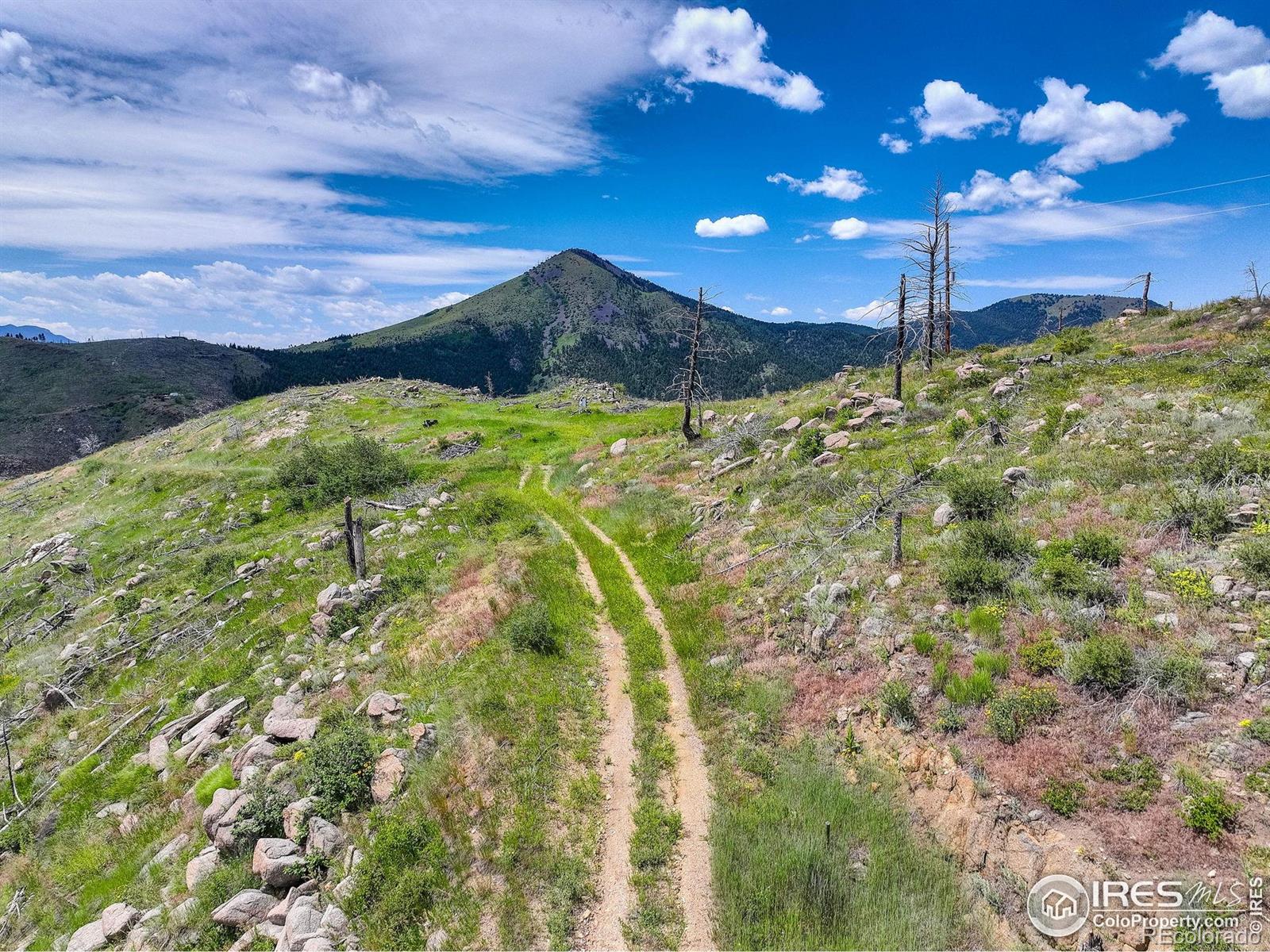 MLS Image #29 for 300  shining star trail,boulder, Colorado