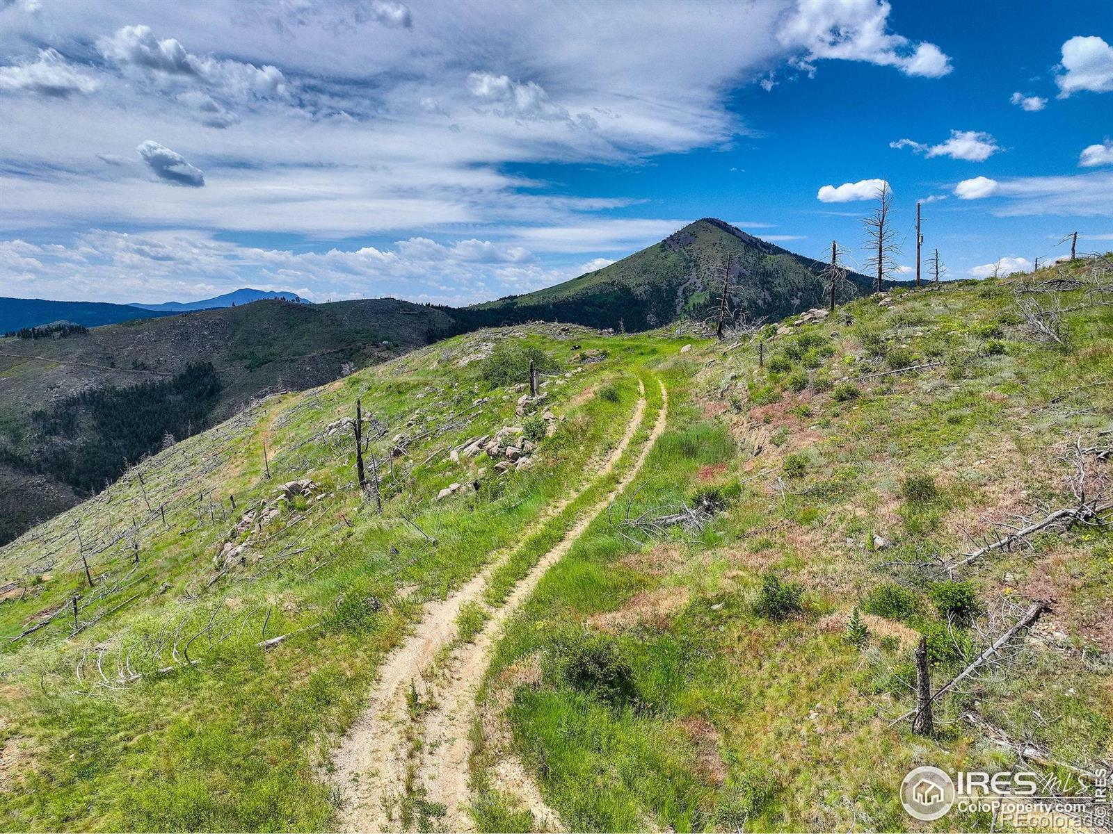 MLS Image #34 for 300  shining star trail,boulder, Colorado