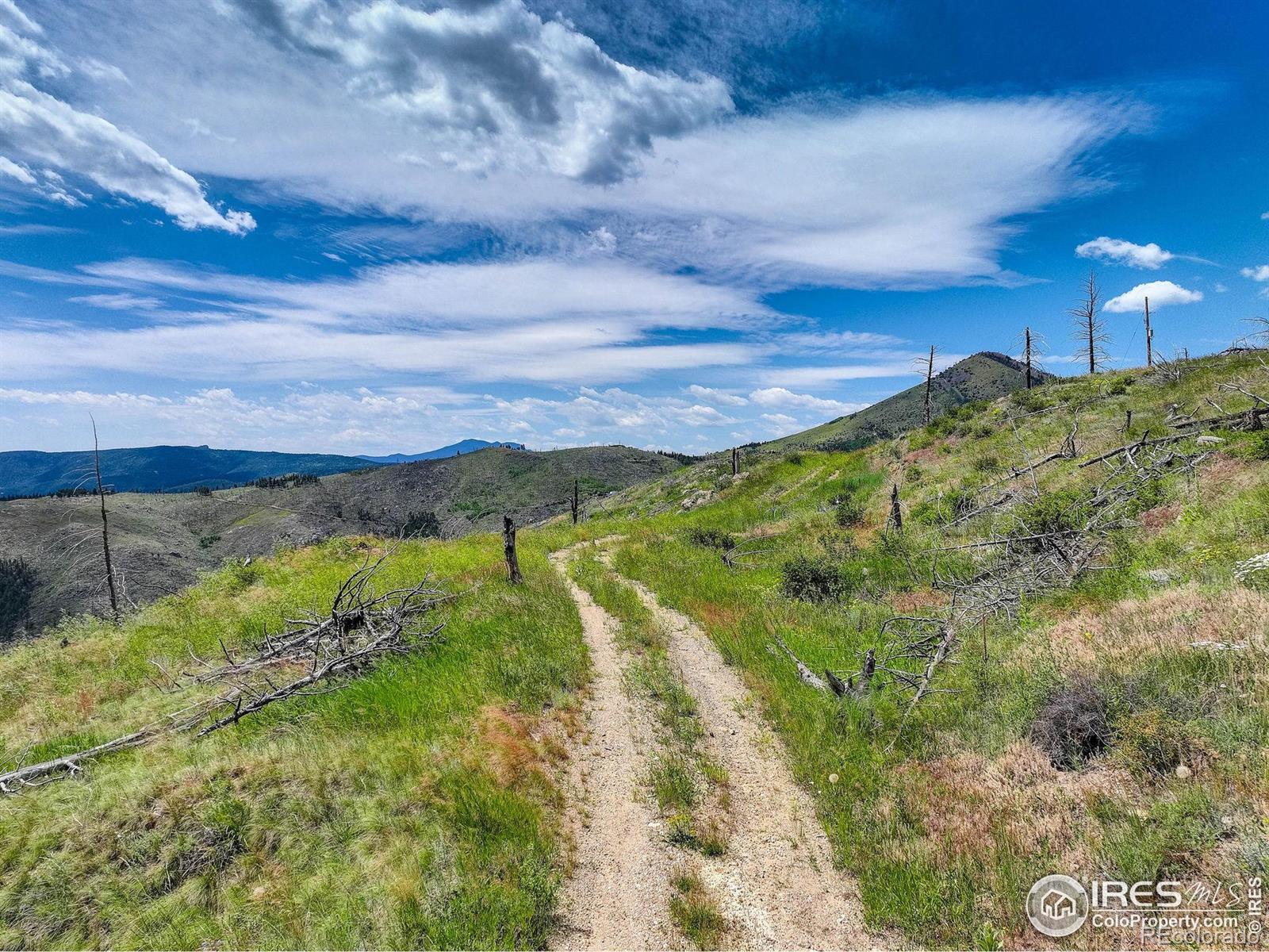 MLS Image #8 for 300  shining star trail,boulder, Colorado