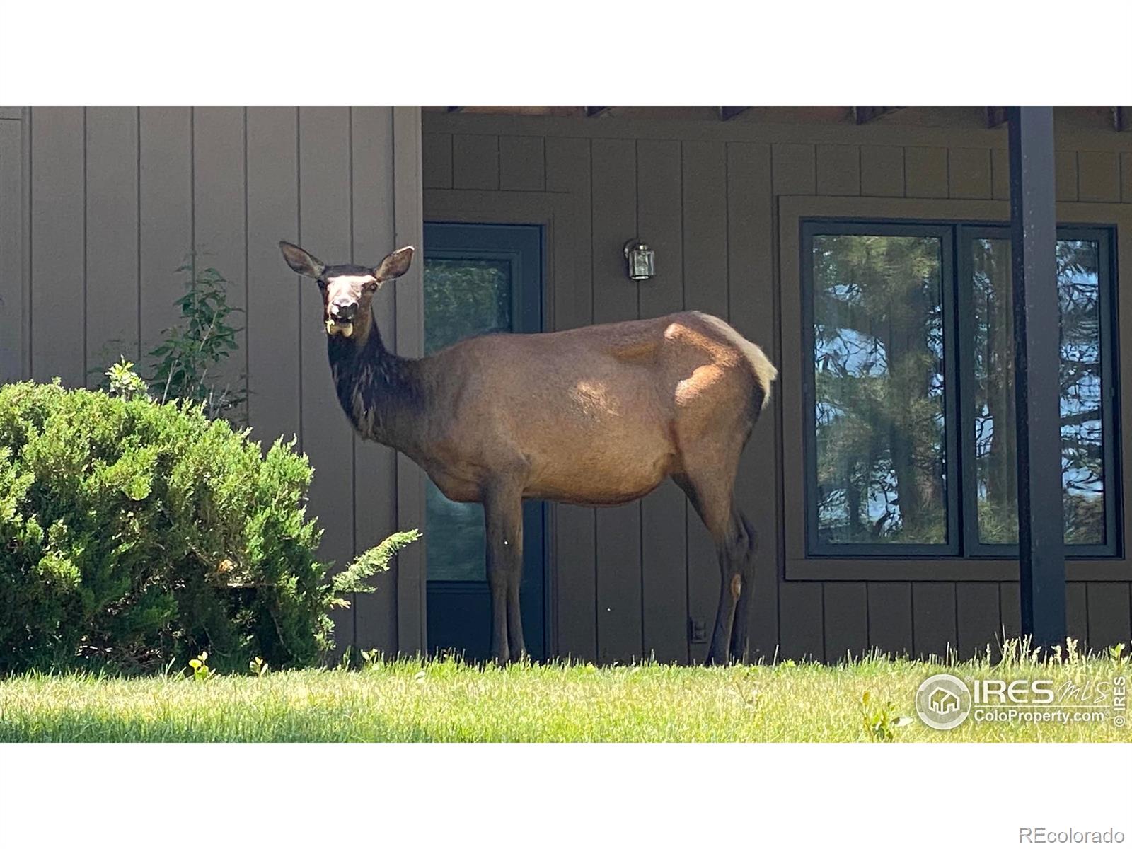 MLS Image #19 for 1141  fairway club circle,estes park, Colorado