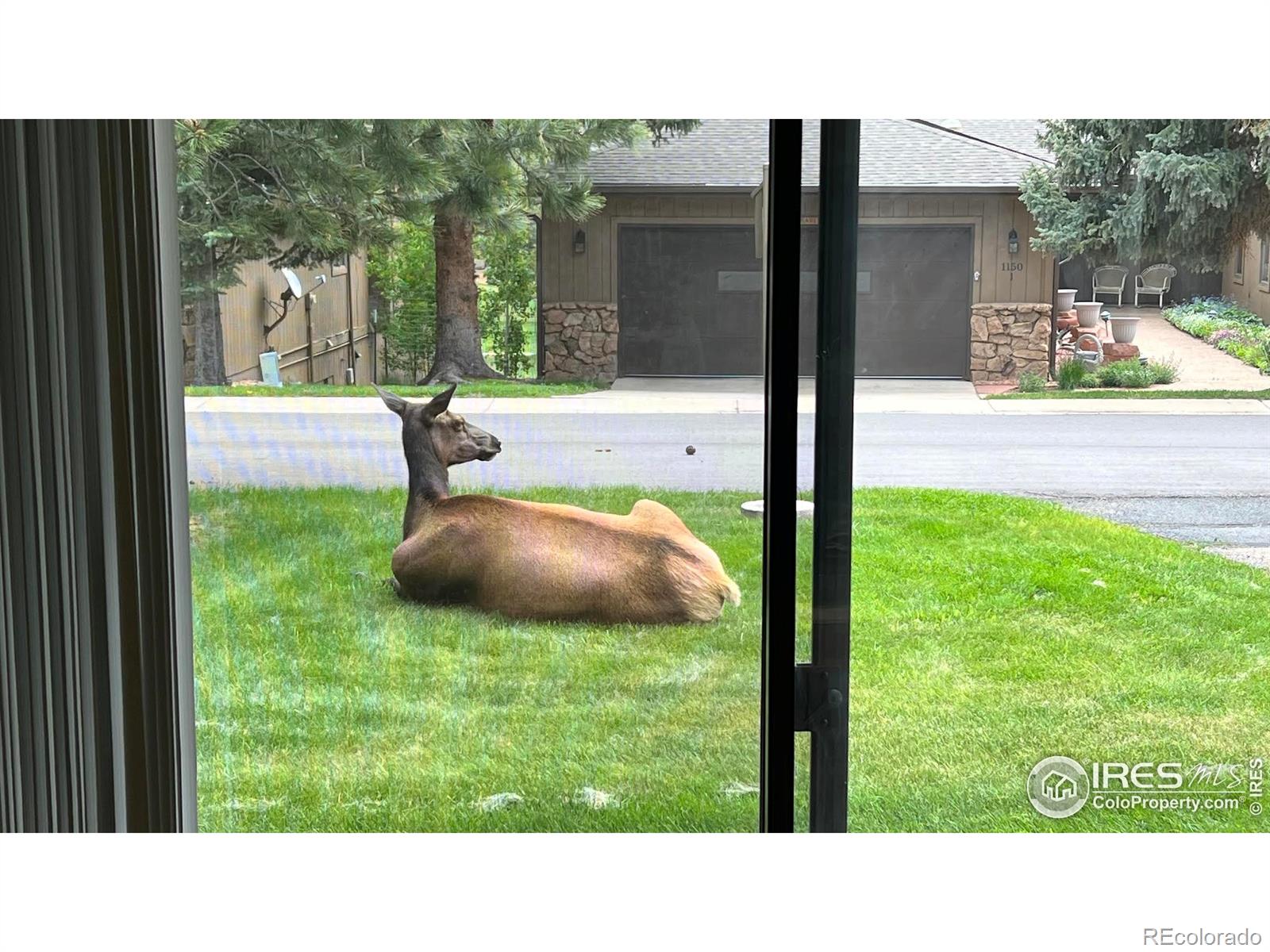MLS Image #7 for 1141  fairway club circle,estes park, Colorado