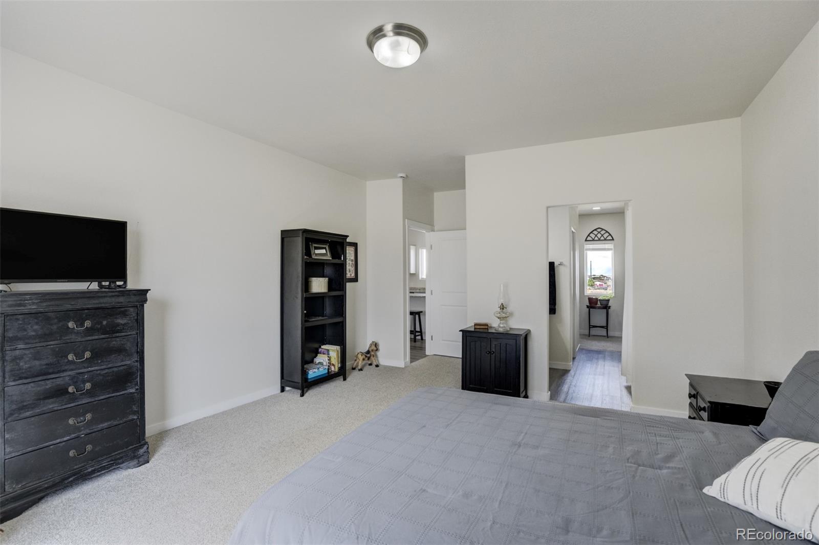 MLS Image #20 for 1592  hogan place,pueblo, Colorado