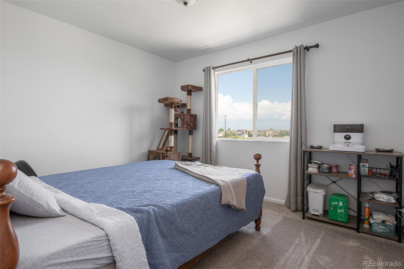 MLS Image #17 for 2132  springside drive,colorado springs, Colorado