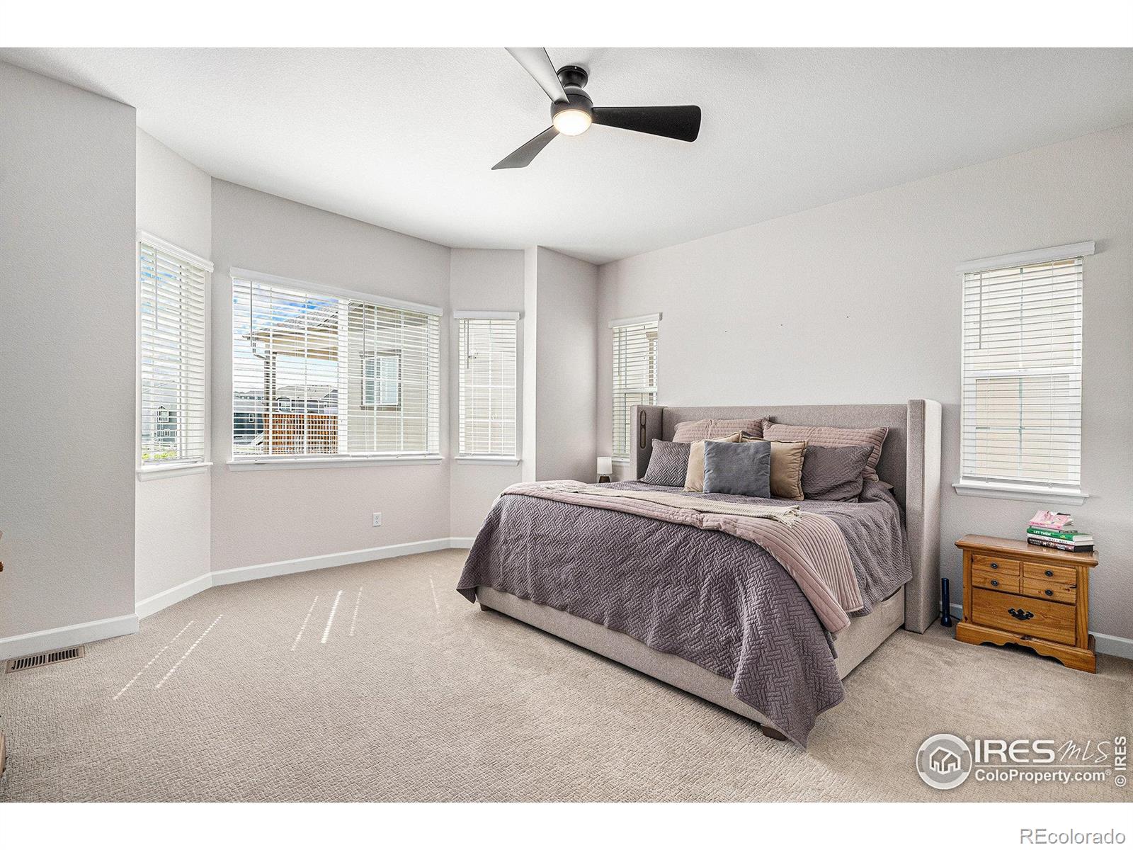 MLS Image #13 for 4600  shady path lane,castle rock, Colorado