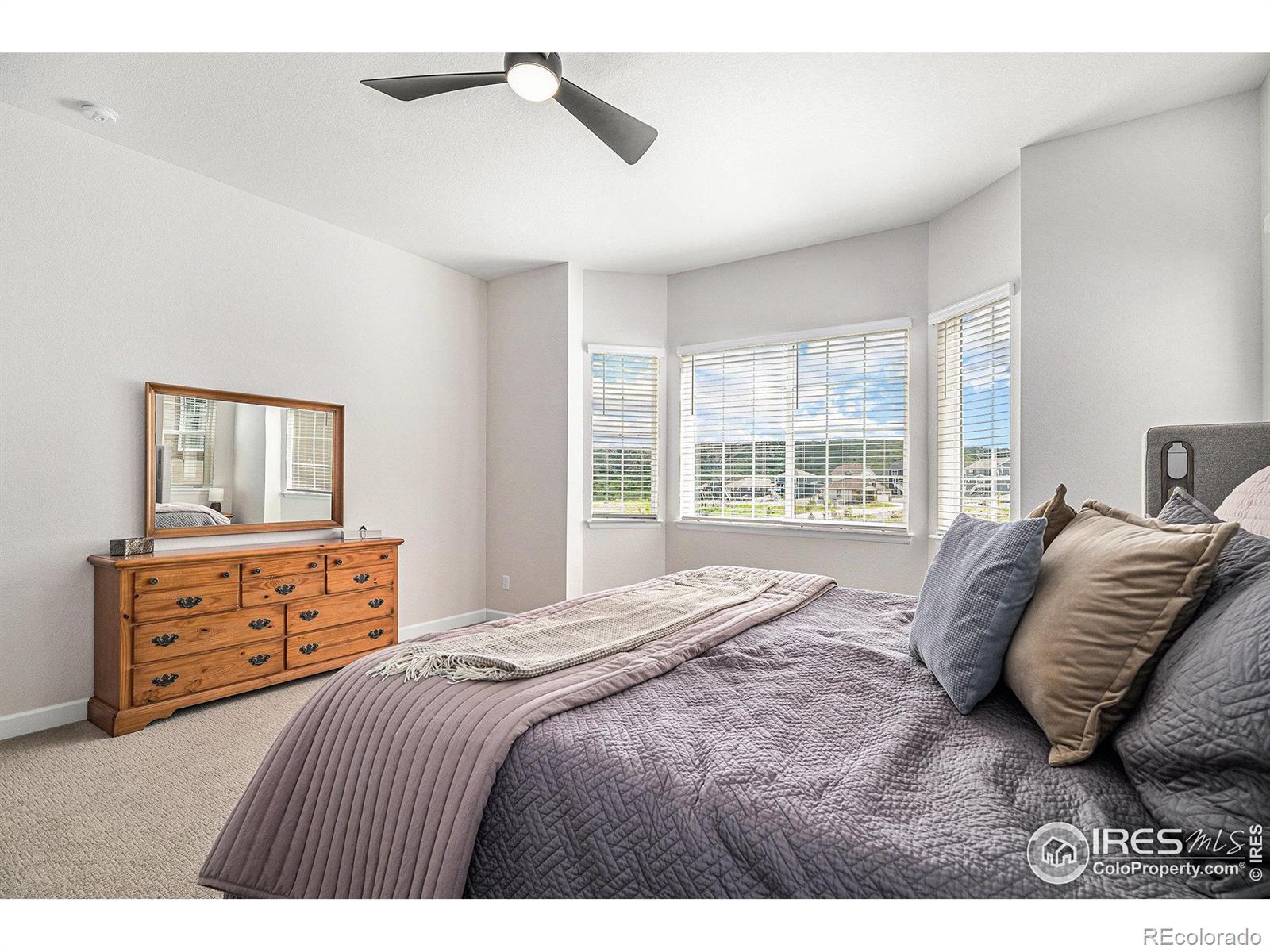 MLS Image #14 for 4600  shady path lane,castle rock, Colorado