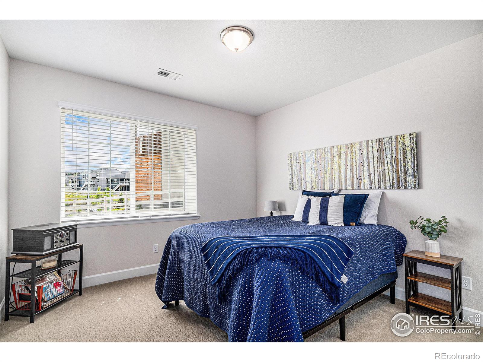 MLS Image #29 for 4600  shady path lane,castle rock, Colorado