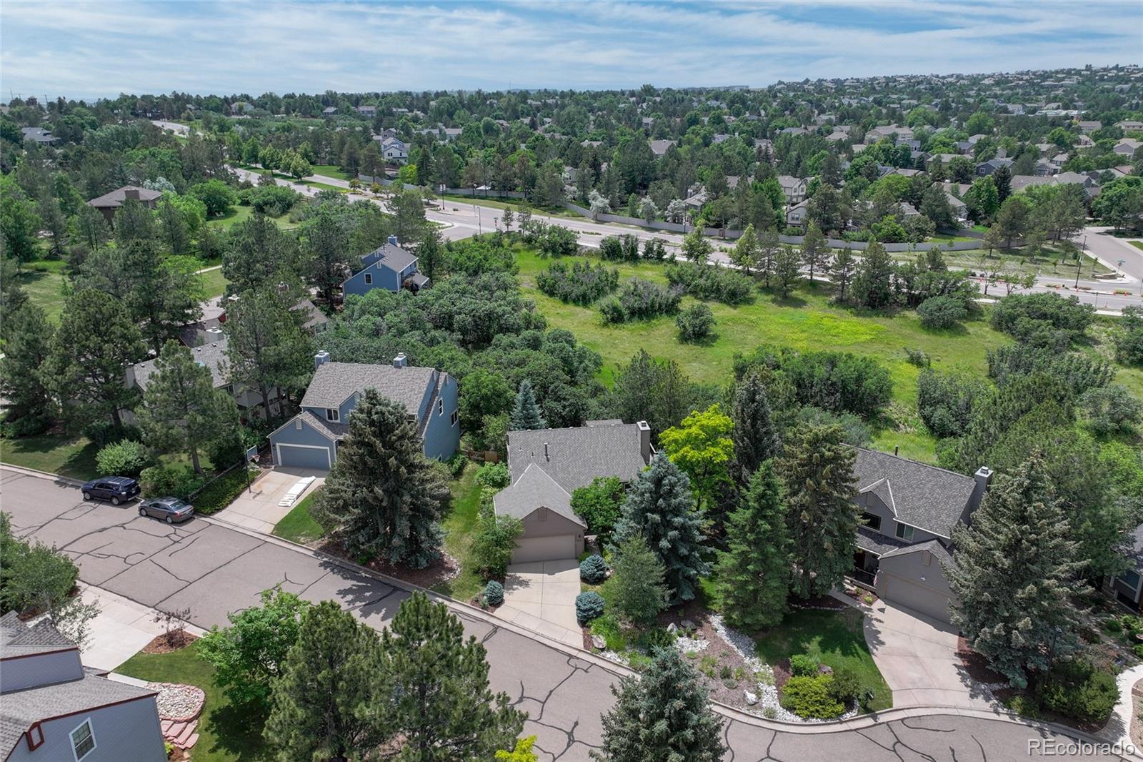 MLS Image #45 for 292  summerwood lane,castle pines, Colorado