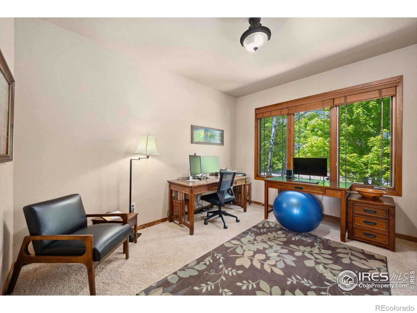 MLS Image #22 for 2156  meander road,windsor, Colorado