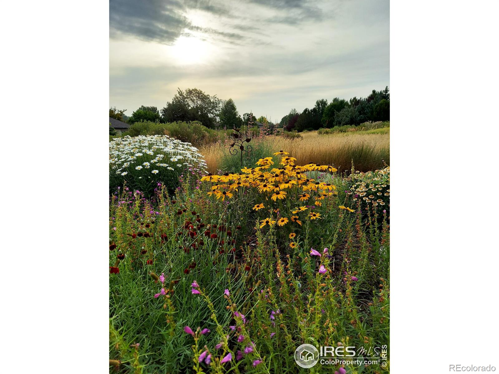 MLS Image #36 for 2156  meander road,windsor, Colorado