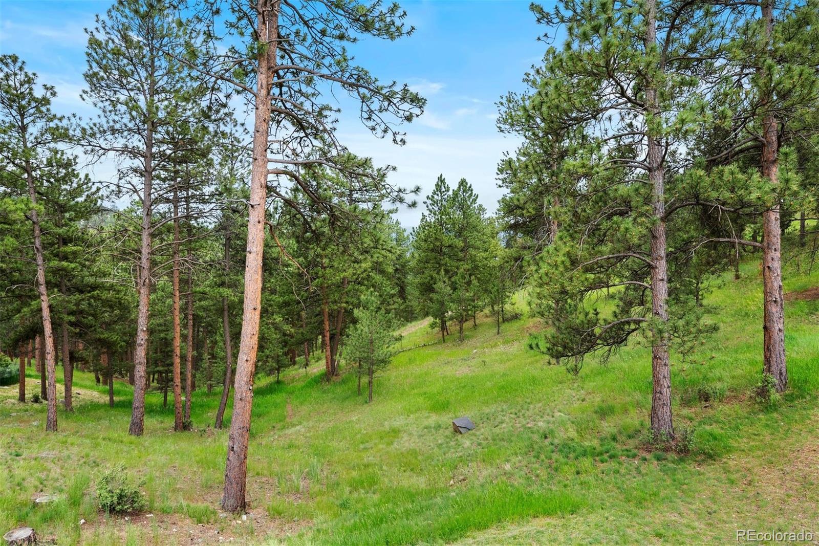 MLS Image #15 for 2164  foothills drive,golden, Colorado