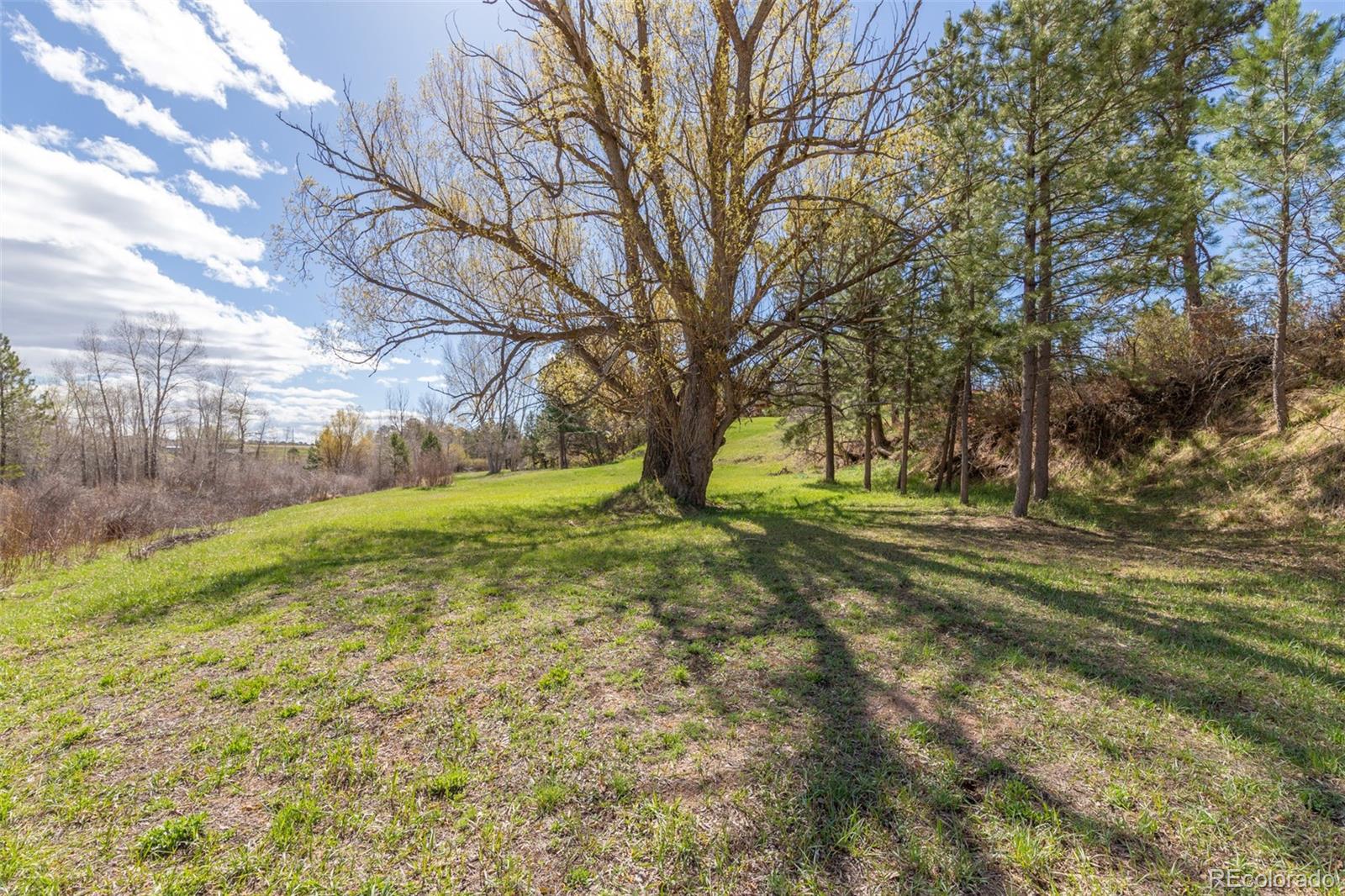 MLS Image #39 for 721  forest view road,monument, Colorado