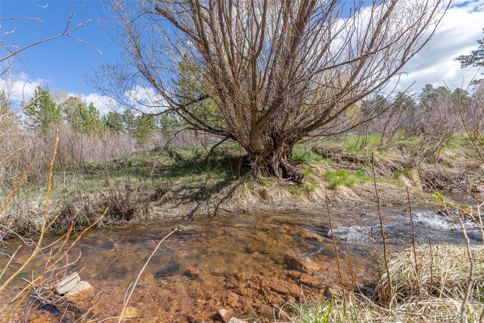MLS Image #40 for 721  forest view road,monument, Colorado