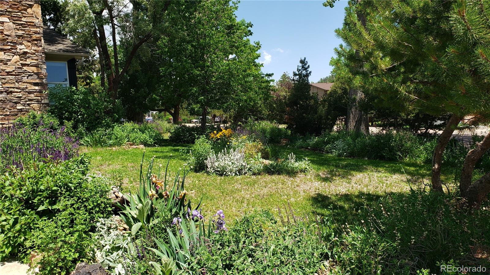 MLS Image #7 for 5298  pony creek circle,colorado springs, Colorado