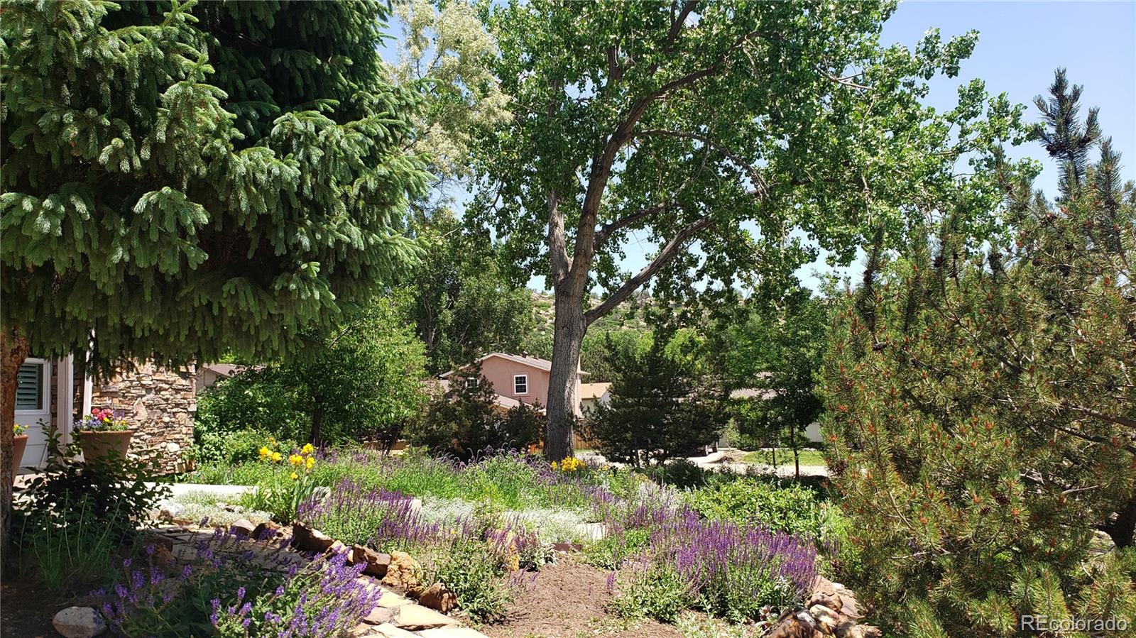 MLS Image #8 for 5298  pony creek circle,colorado springs, Colorado