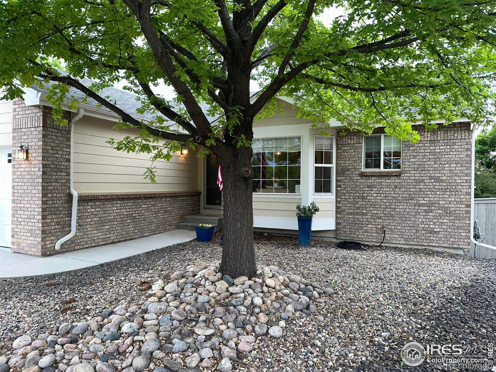 CMA Image for 205  Timber Ridge Court,Severance, Colorado