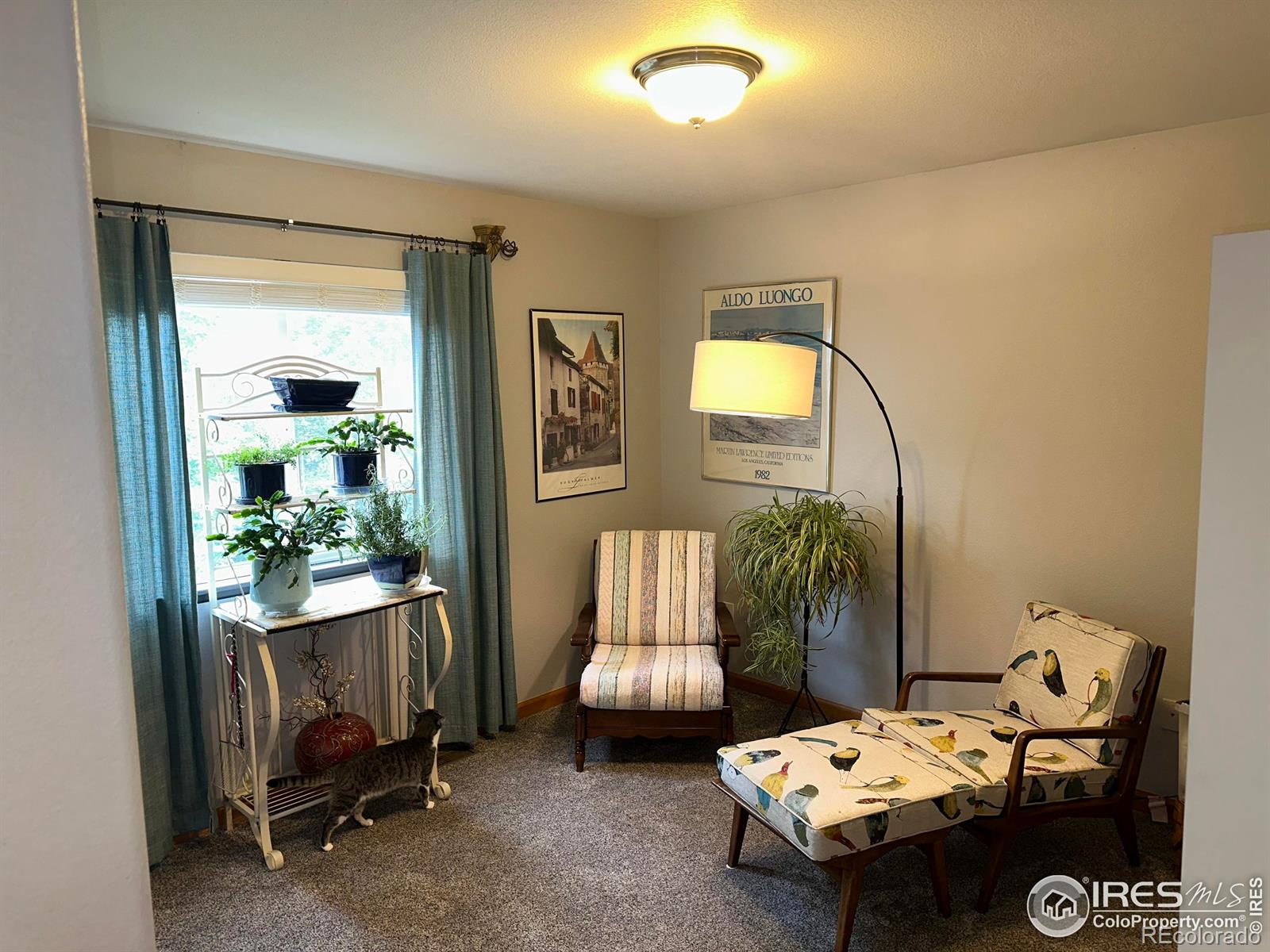 MLS Image #16 for 205  timber ridge court,severance, Colorado
