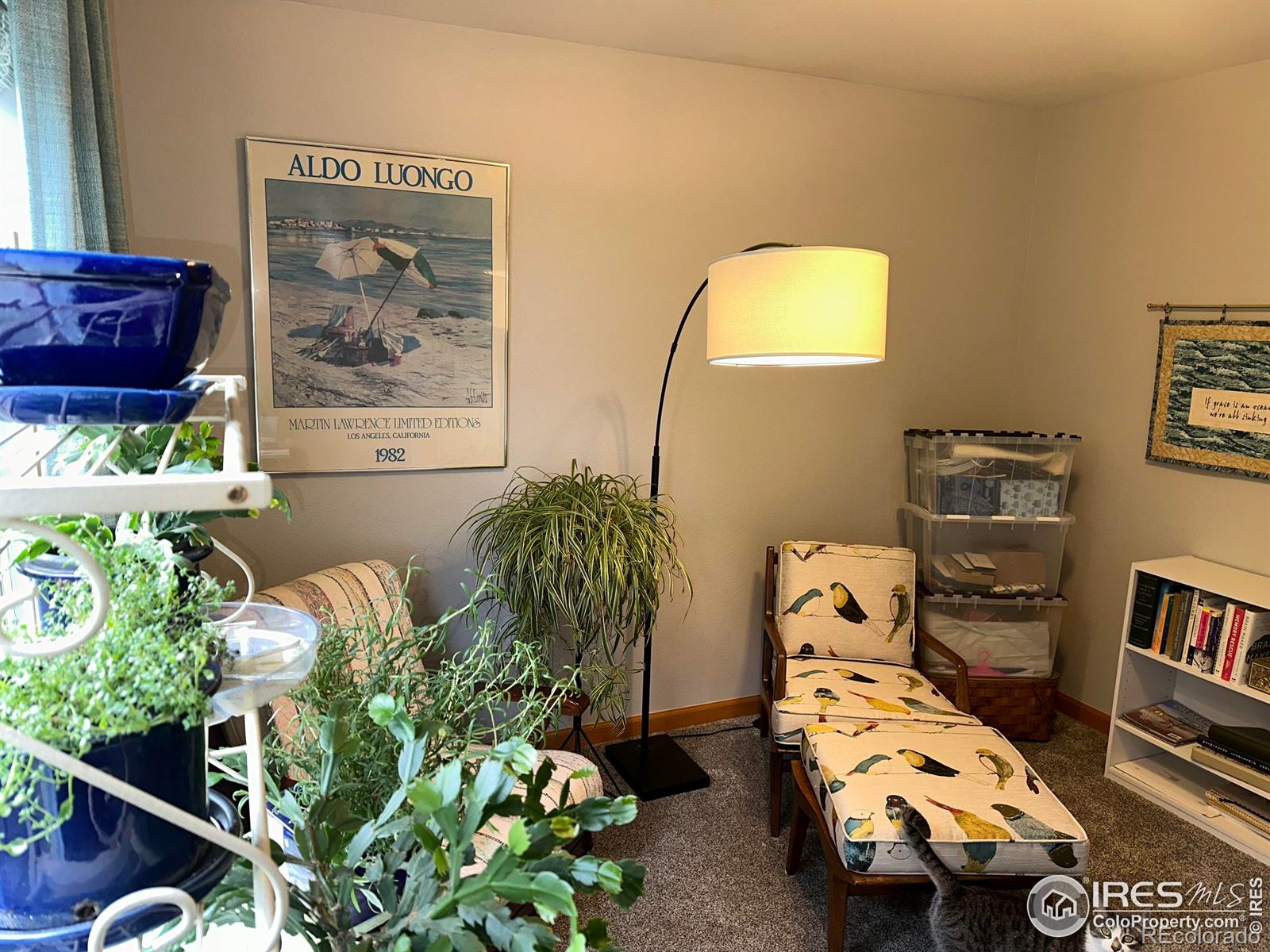 MLS Image #17 for 205  timber ridge court,severance, Colorado