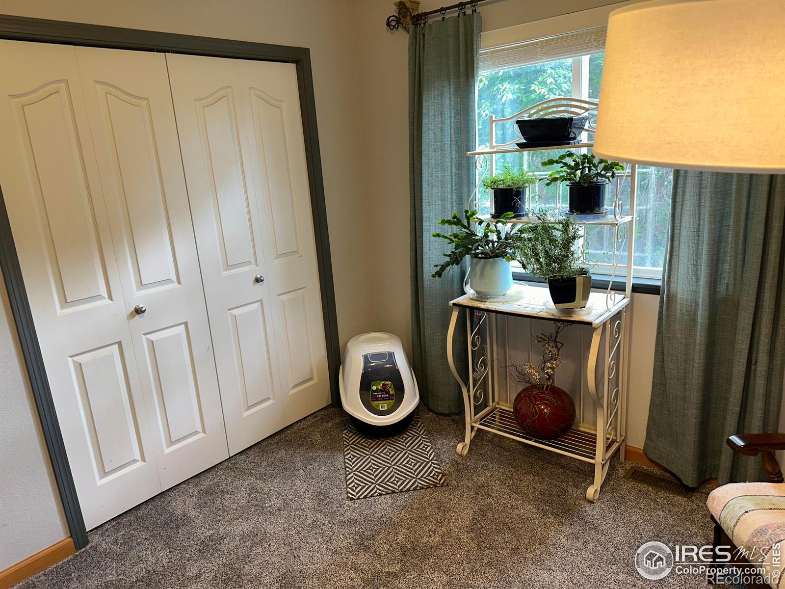 MLS Image #18 for 205  timber ridge court,severance, Colorado
